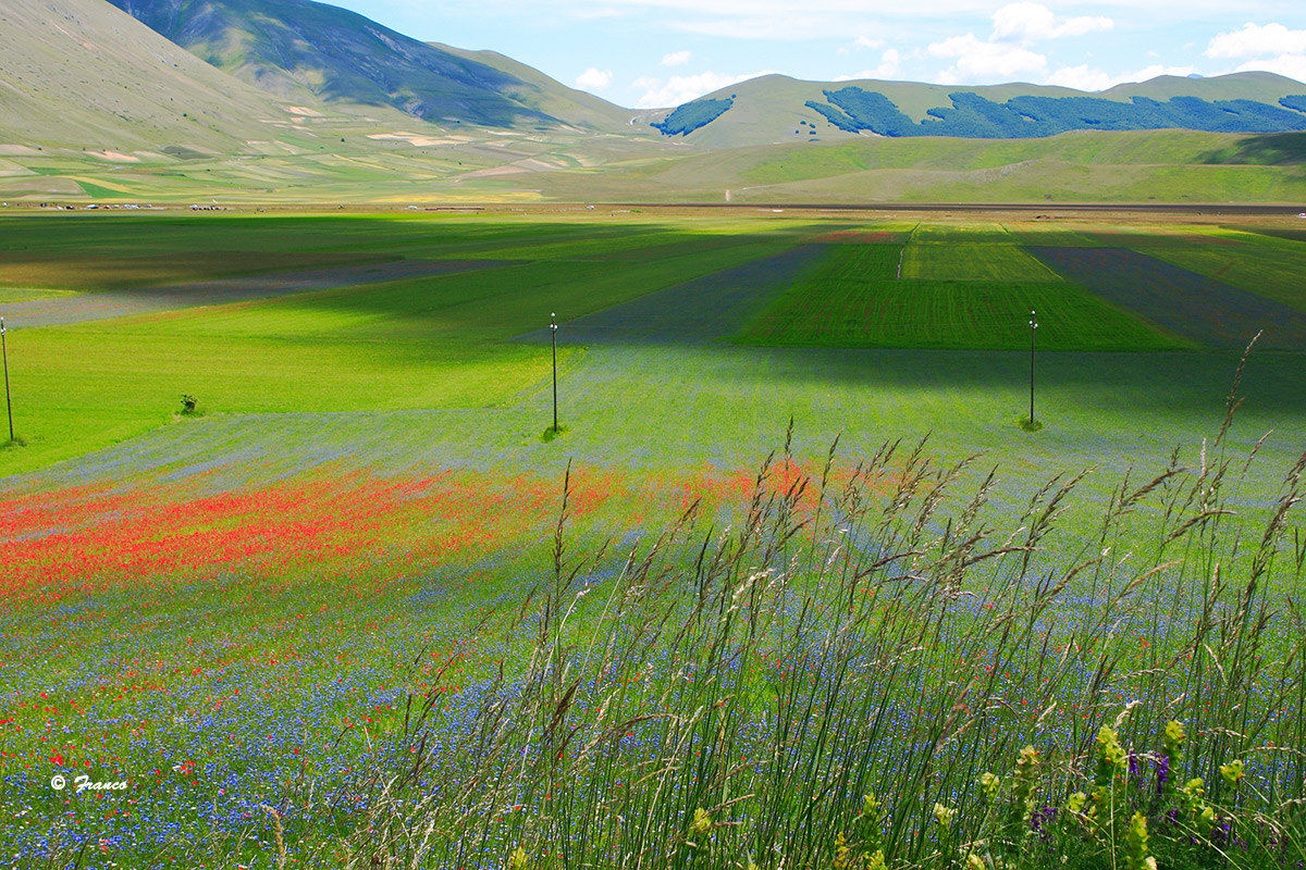 Castelluccio of Norcia in 2015 2
