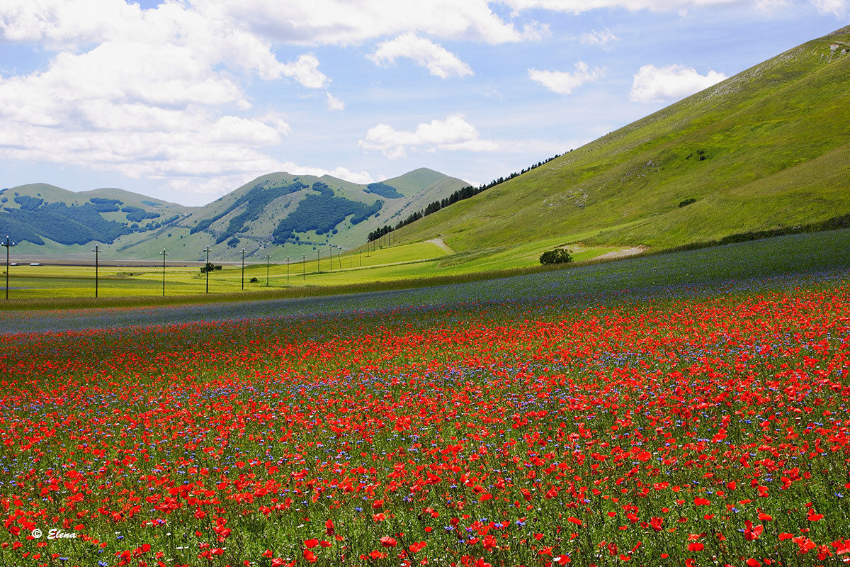 Castelluccio of Norcia in 2015 3