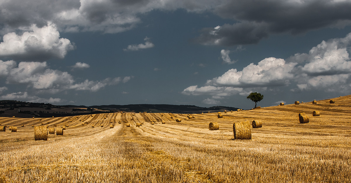 Summer in the land of Orcia