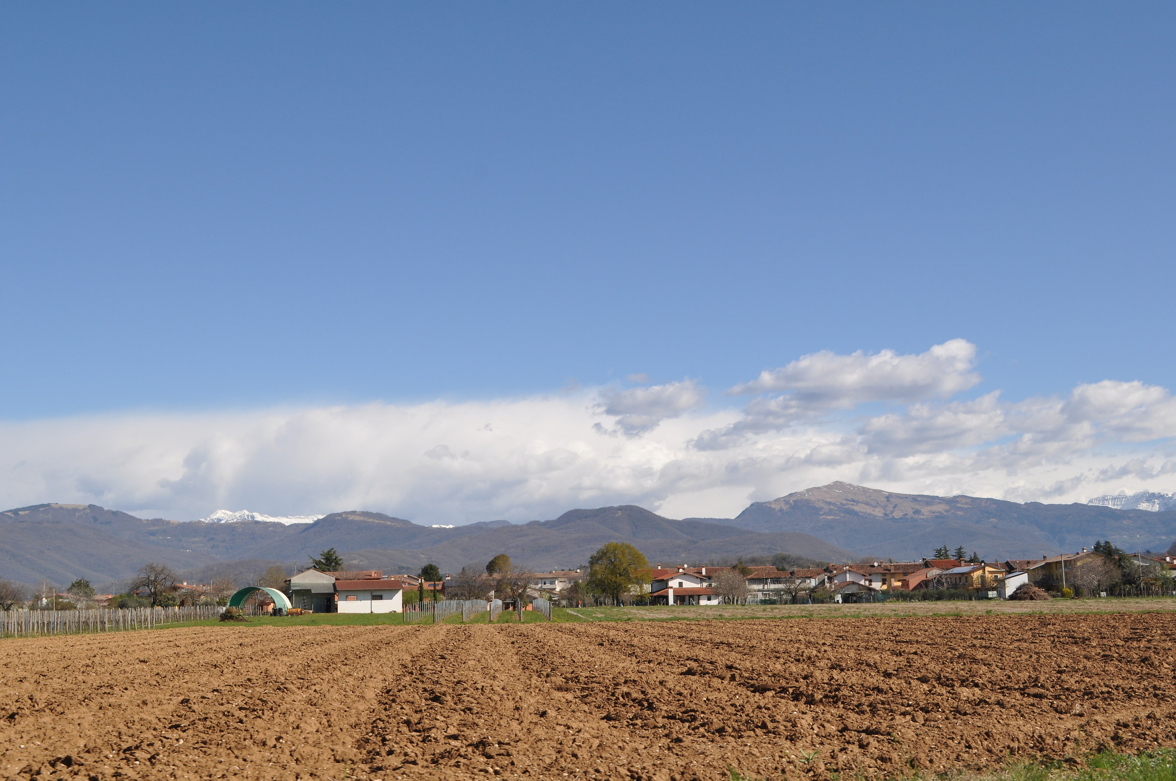 work and live natural