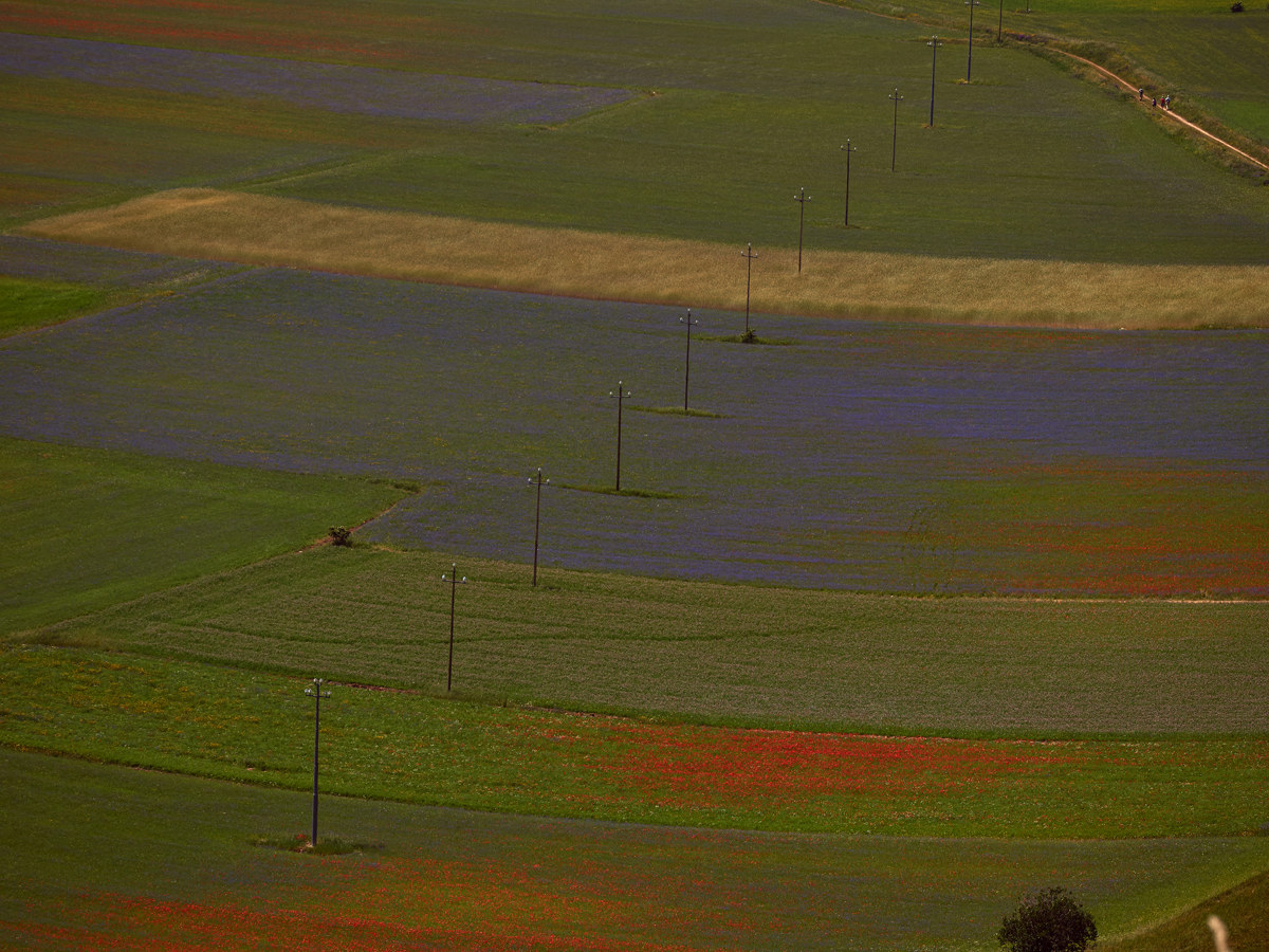 Castelluccio