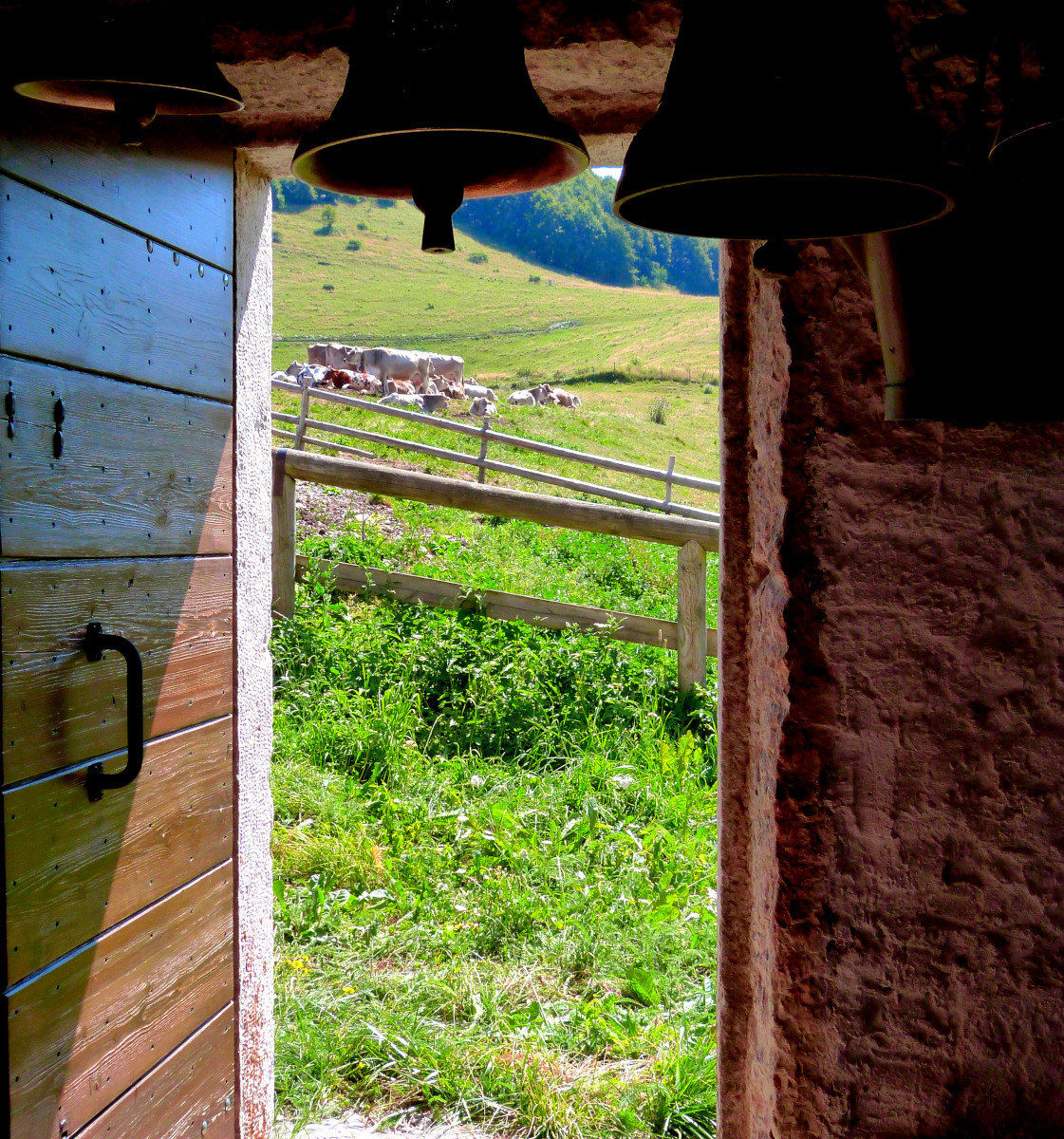 From the door of the hut.