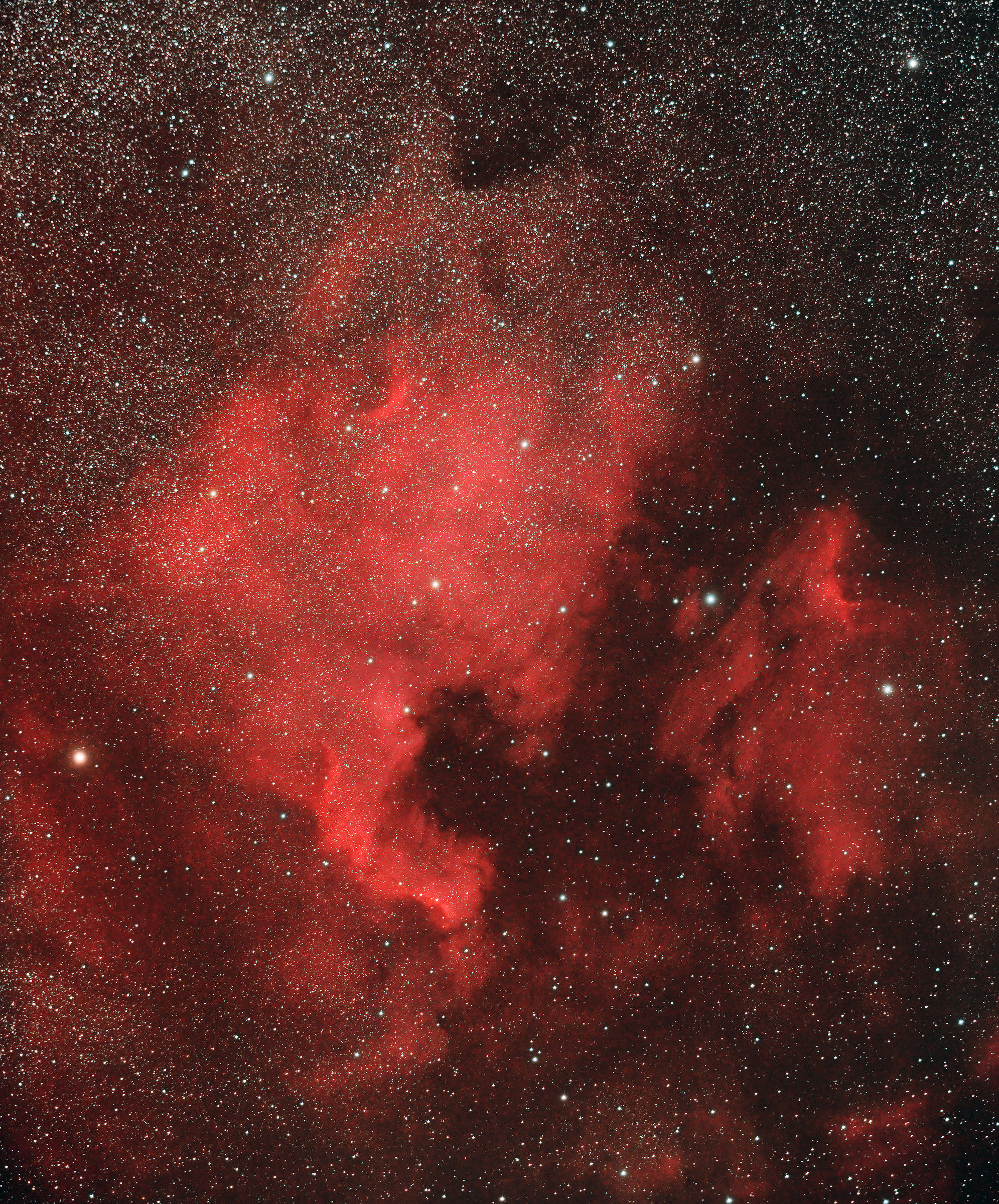 Nord America e Pellicano