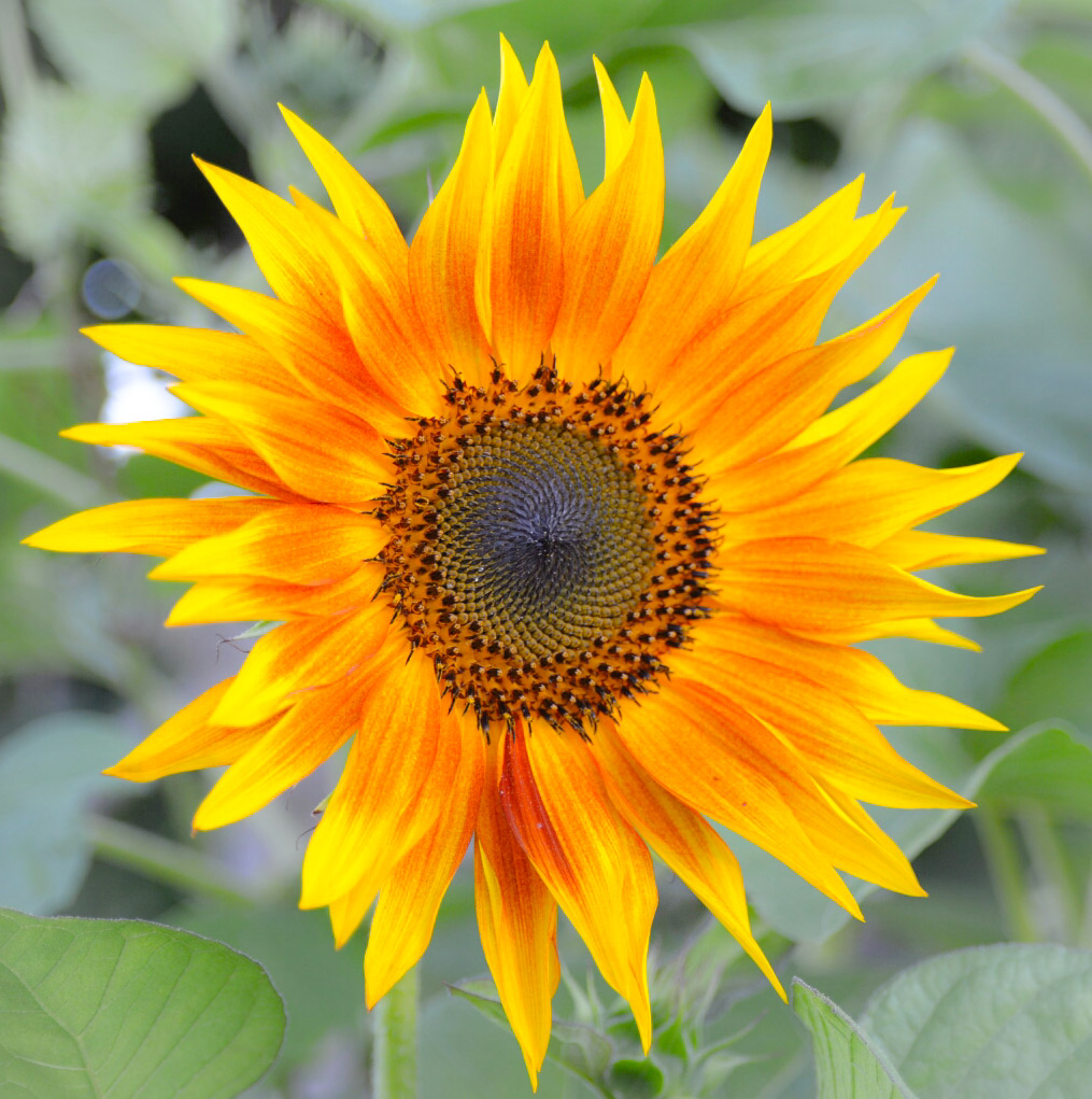 ... I turned around ... I also ...