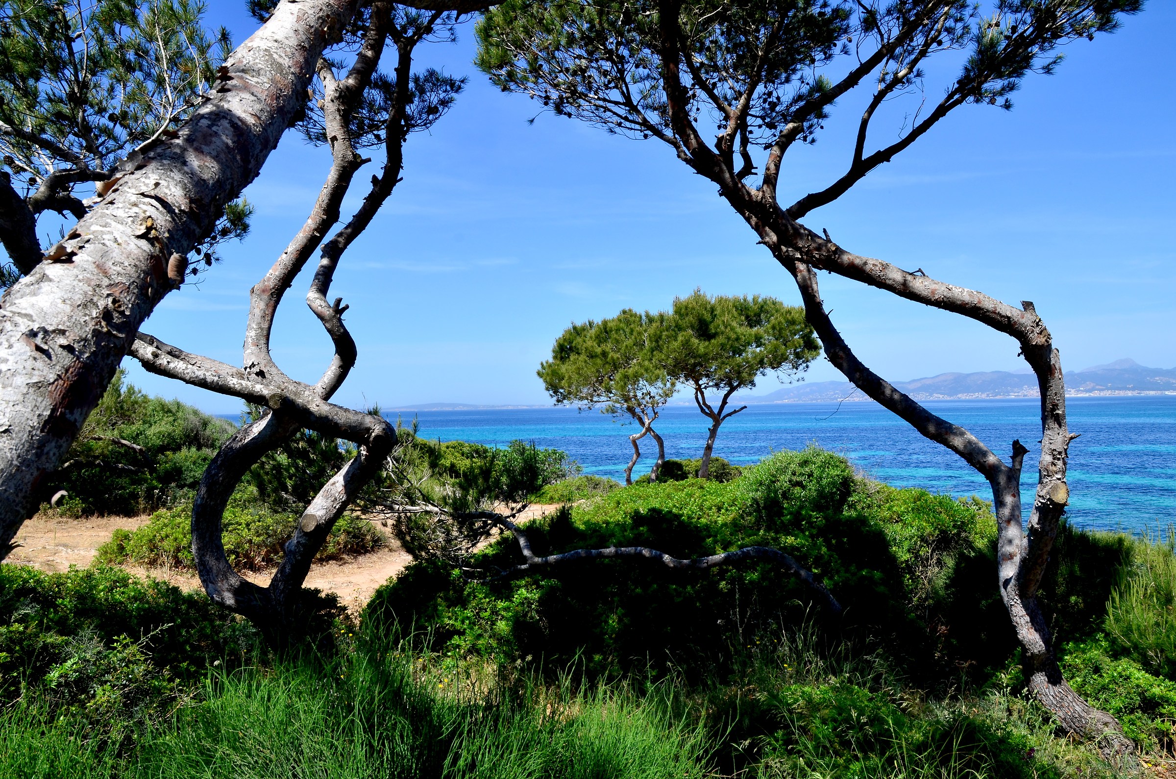 Playa de Palma. Mallorca