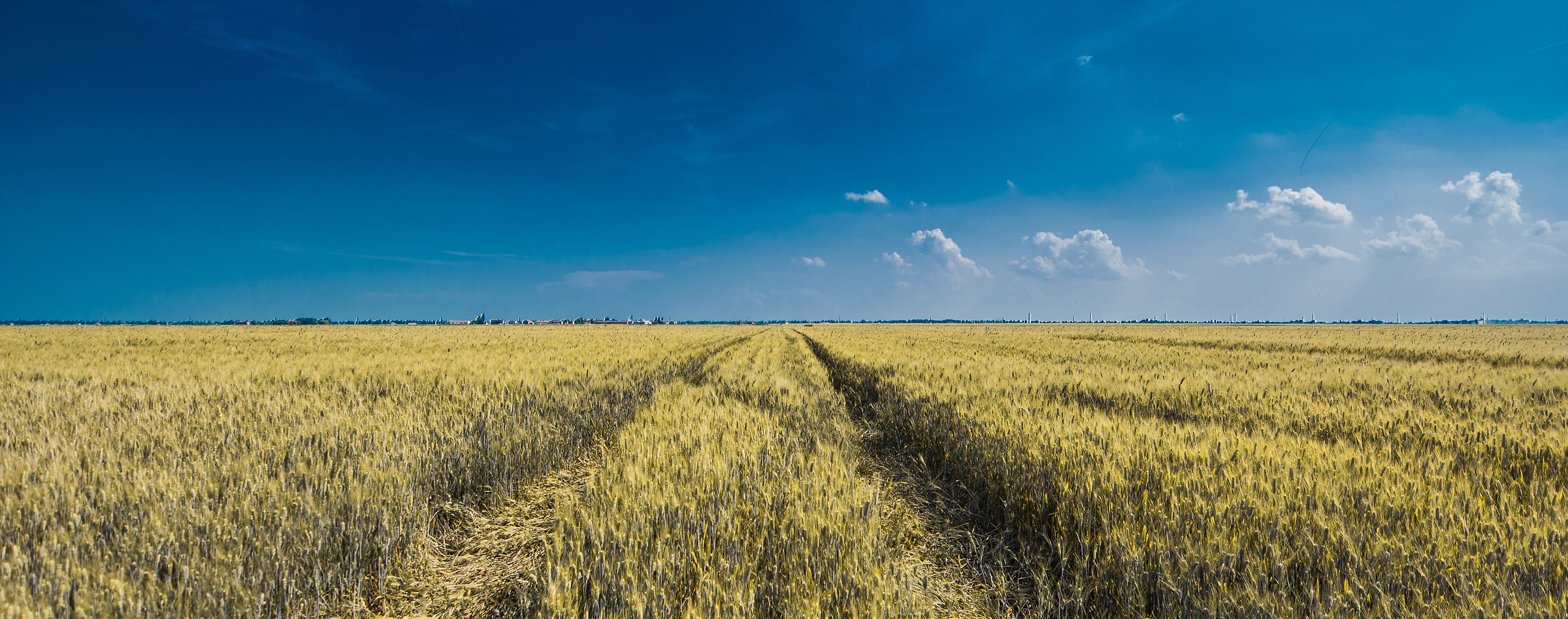 road to disapperance