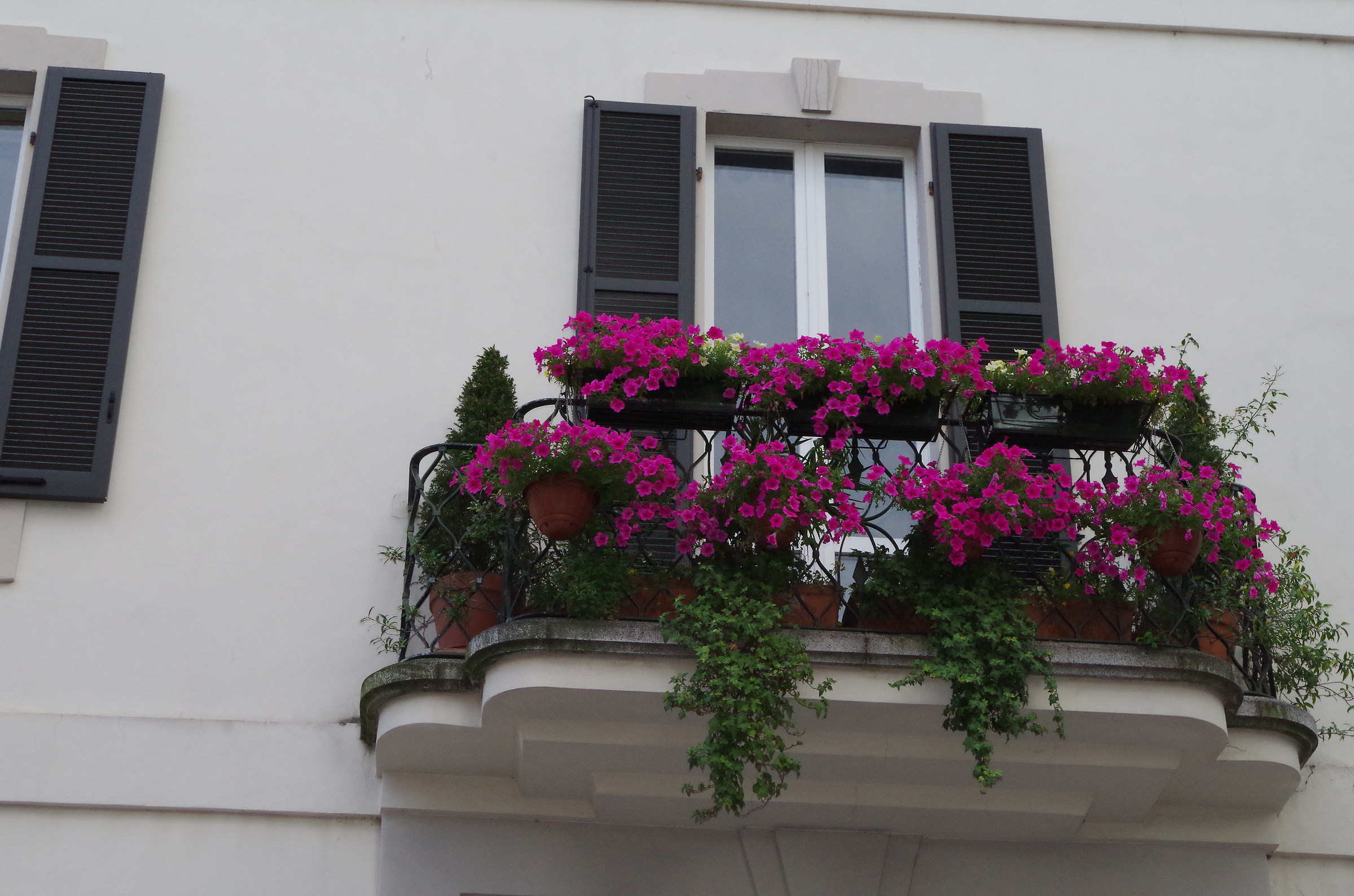 Saronno (Prov. Varese): un delizioso balcone floreale.