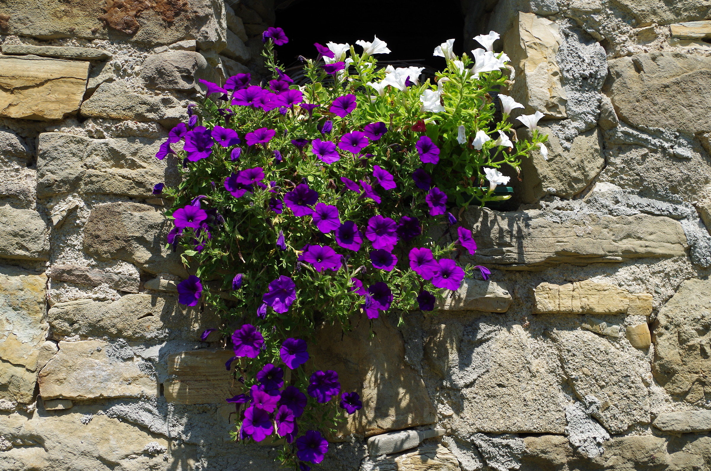 Cassio: delizioso borgo.