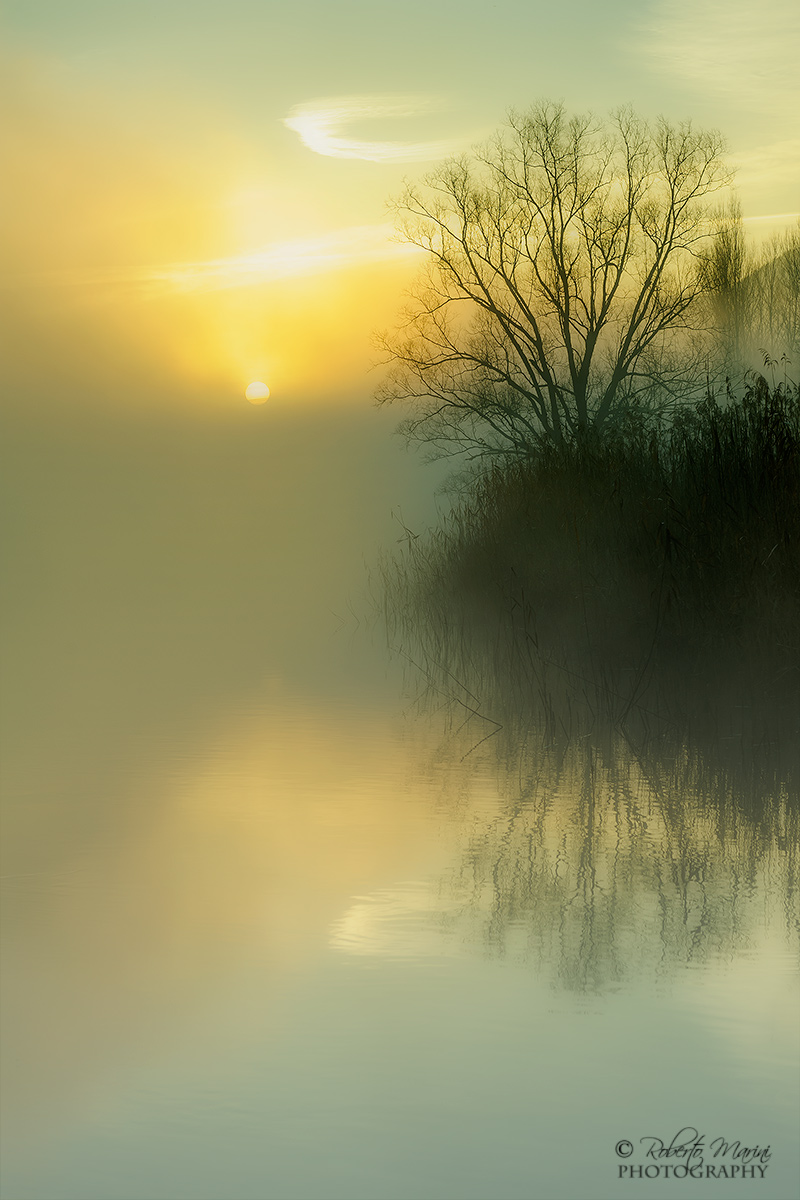 One morning on the river