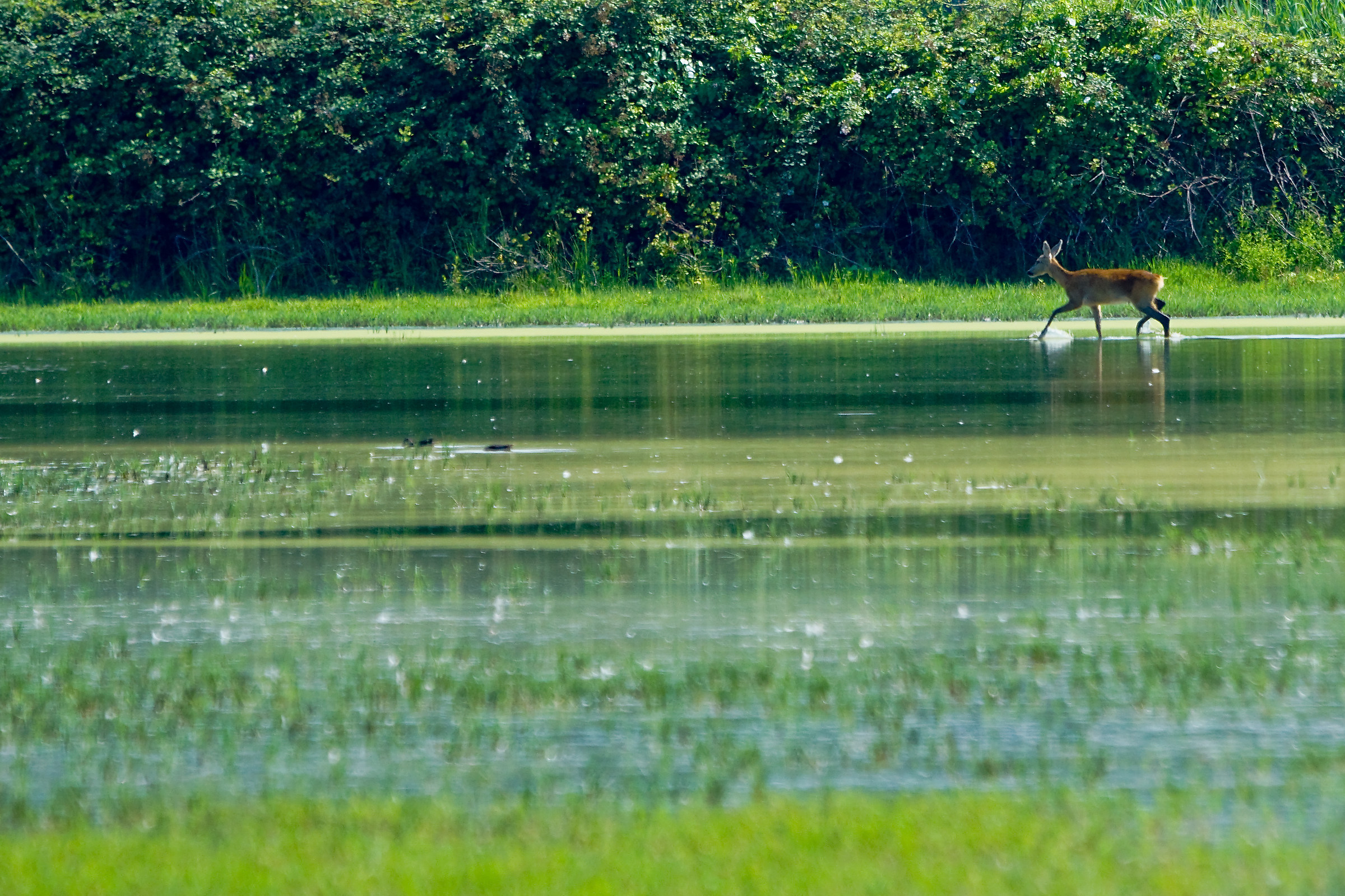 Sometimes just the emotion ... the shot will be next