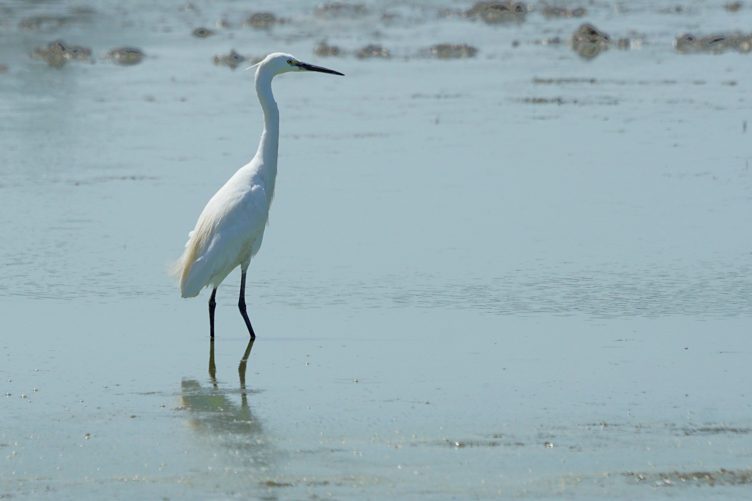 Il sole bacia i belli