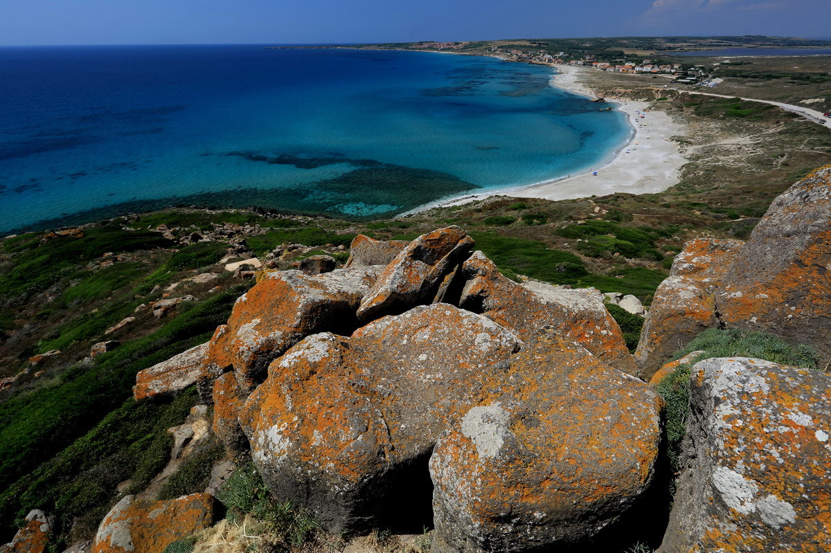 sinis from the tower