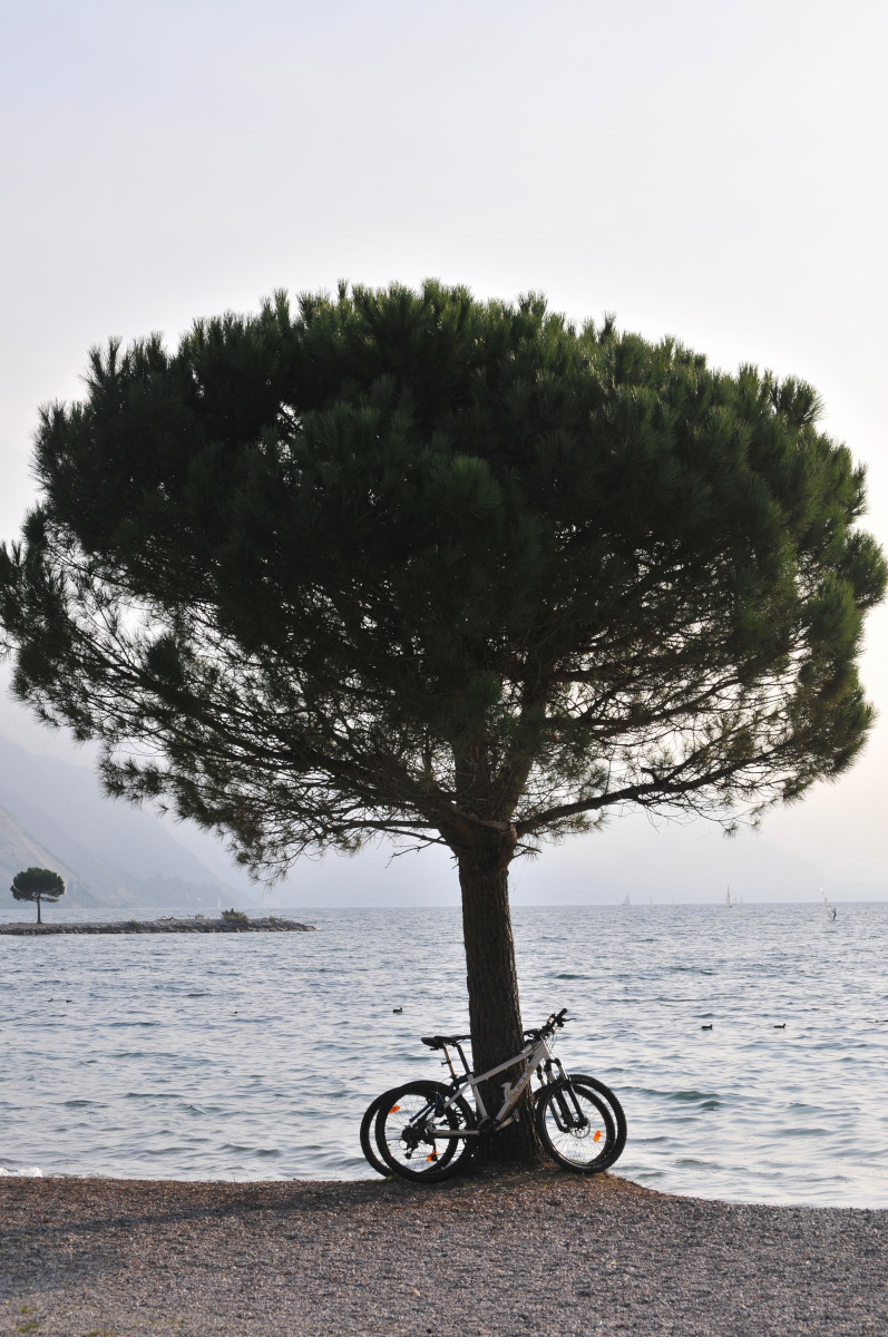 Manca qualcuno...???