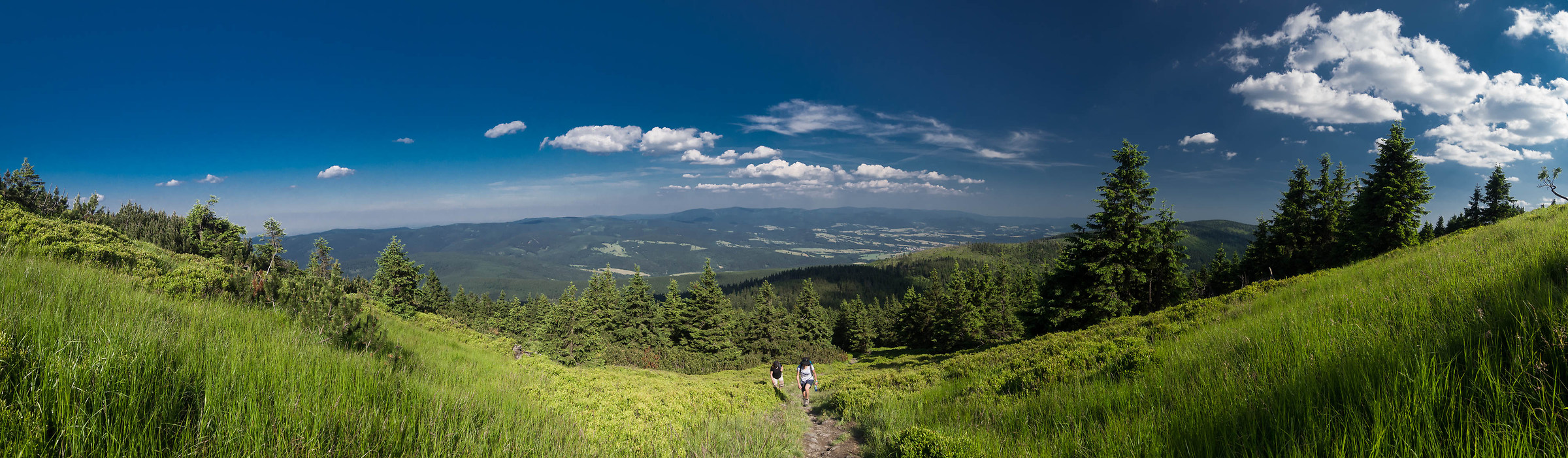 Trail in the Snieznik mountain 2