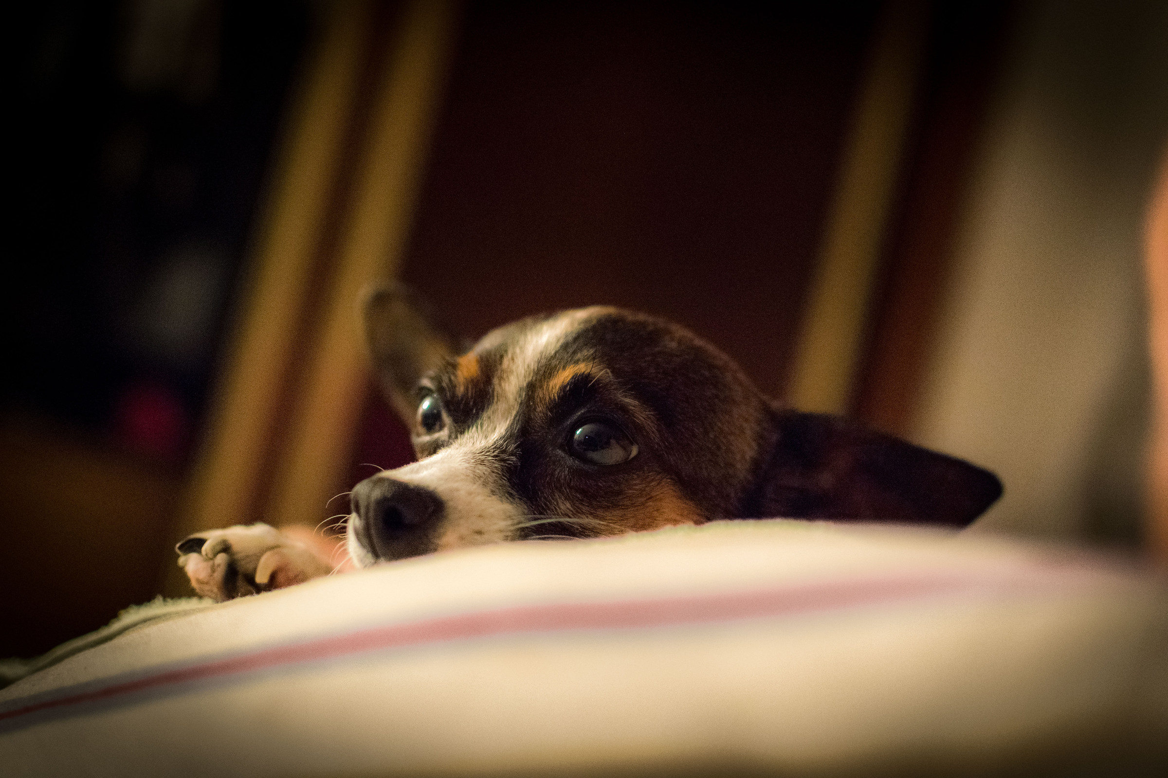 riflettendo sulla vita .....