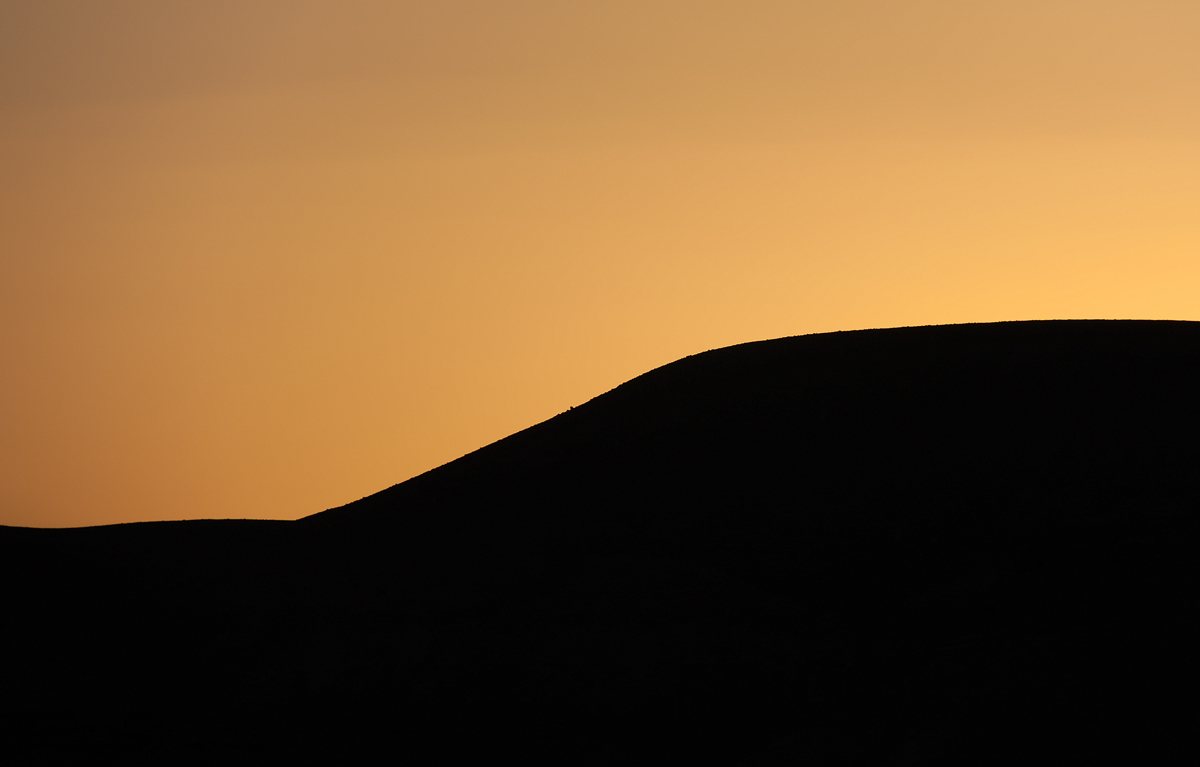 Sunset in the desert