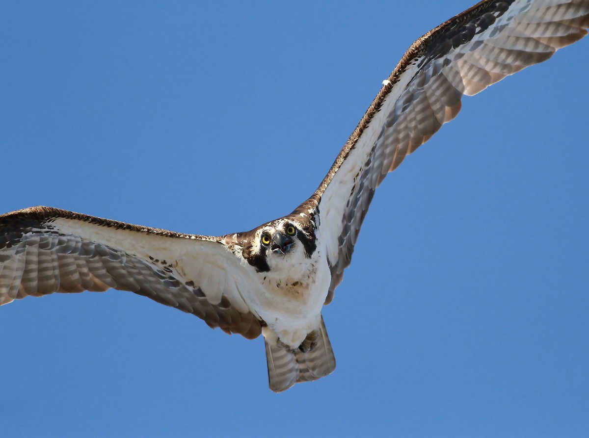 Your not Welcome Here