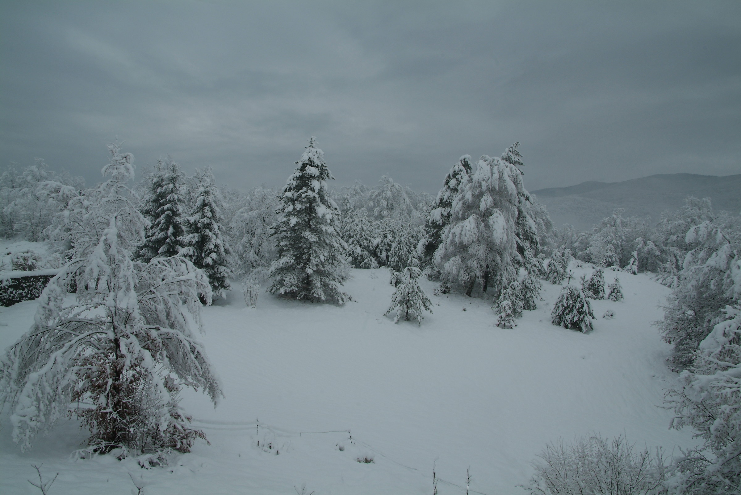 Non  molto  tempo  fa ....