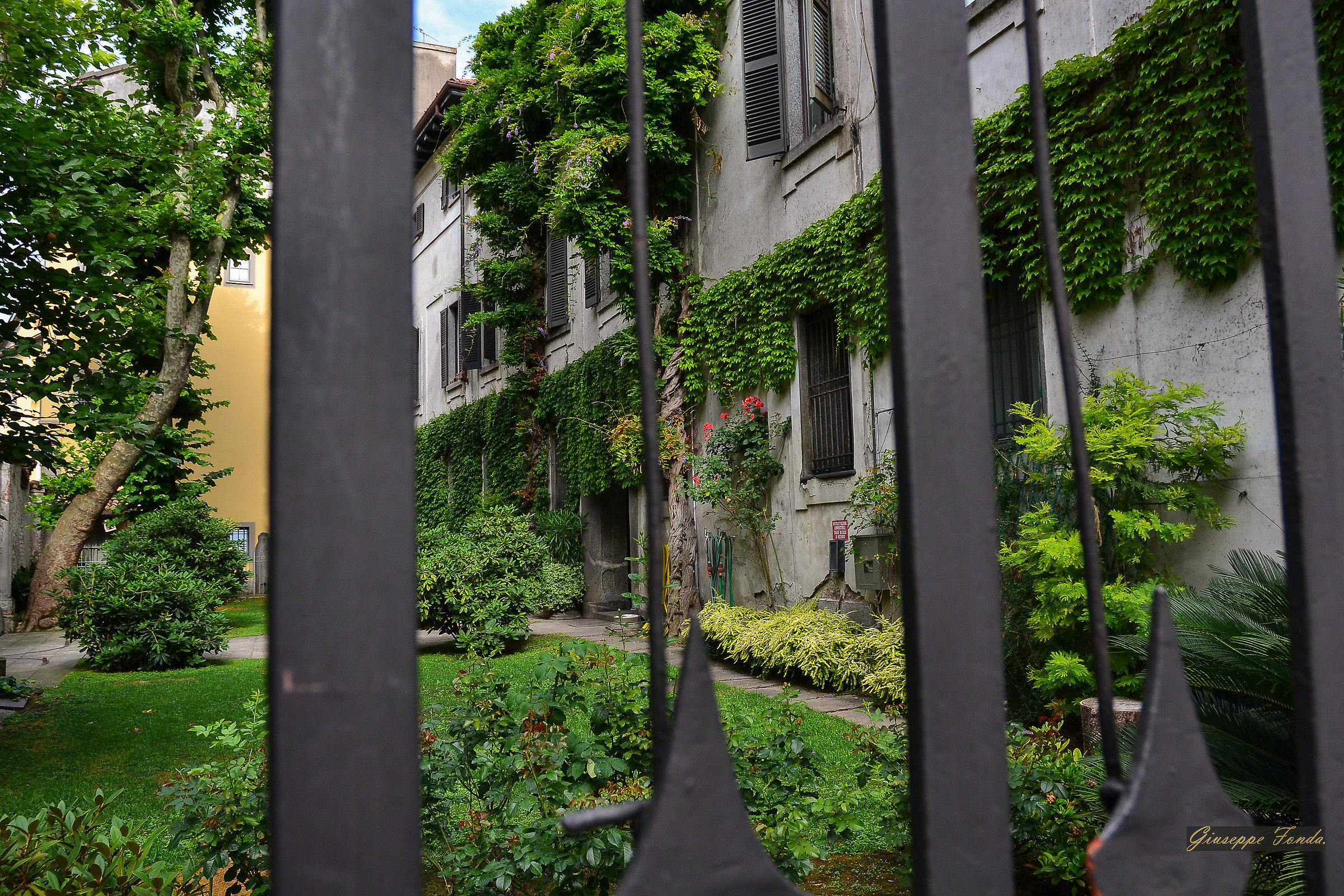 There is still green