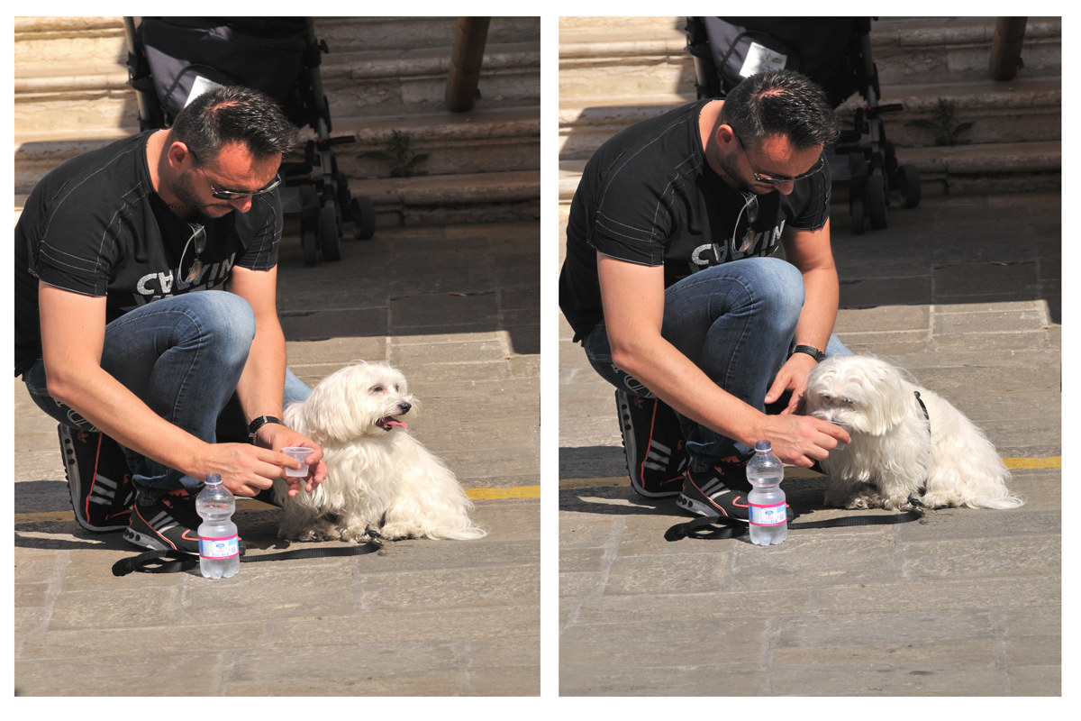 a bottle X two corpie two souls ..