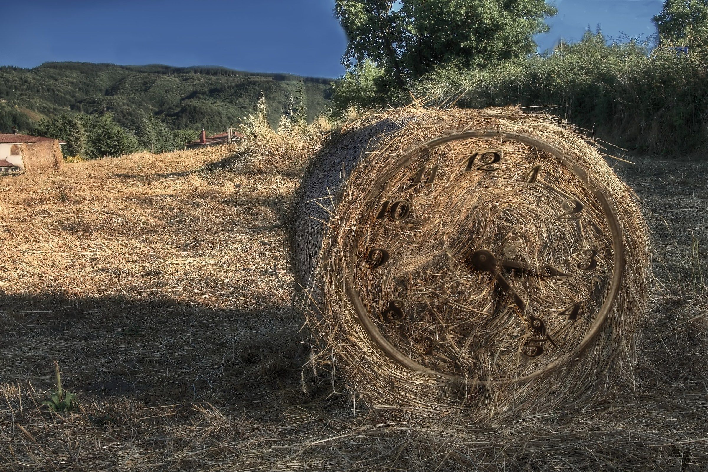 and 'the time of harvest - HDR