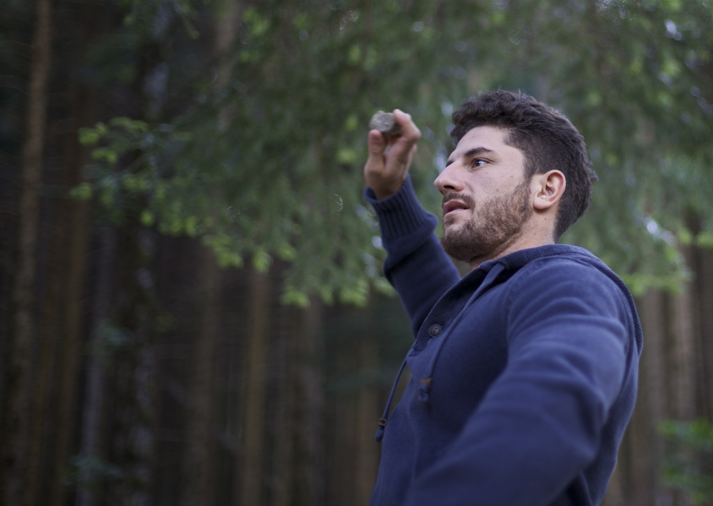 Albertone pulls' stones