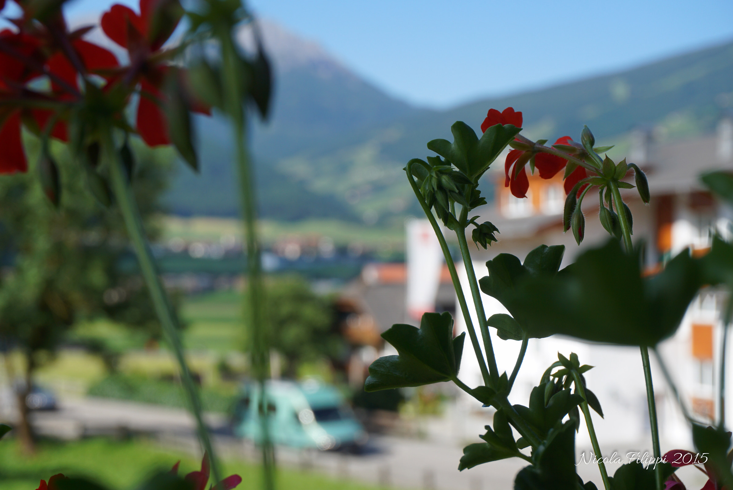 Svista di Rasun, Val Pusteria