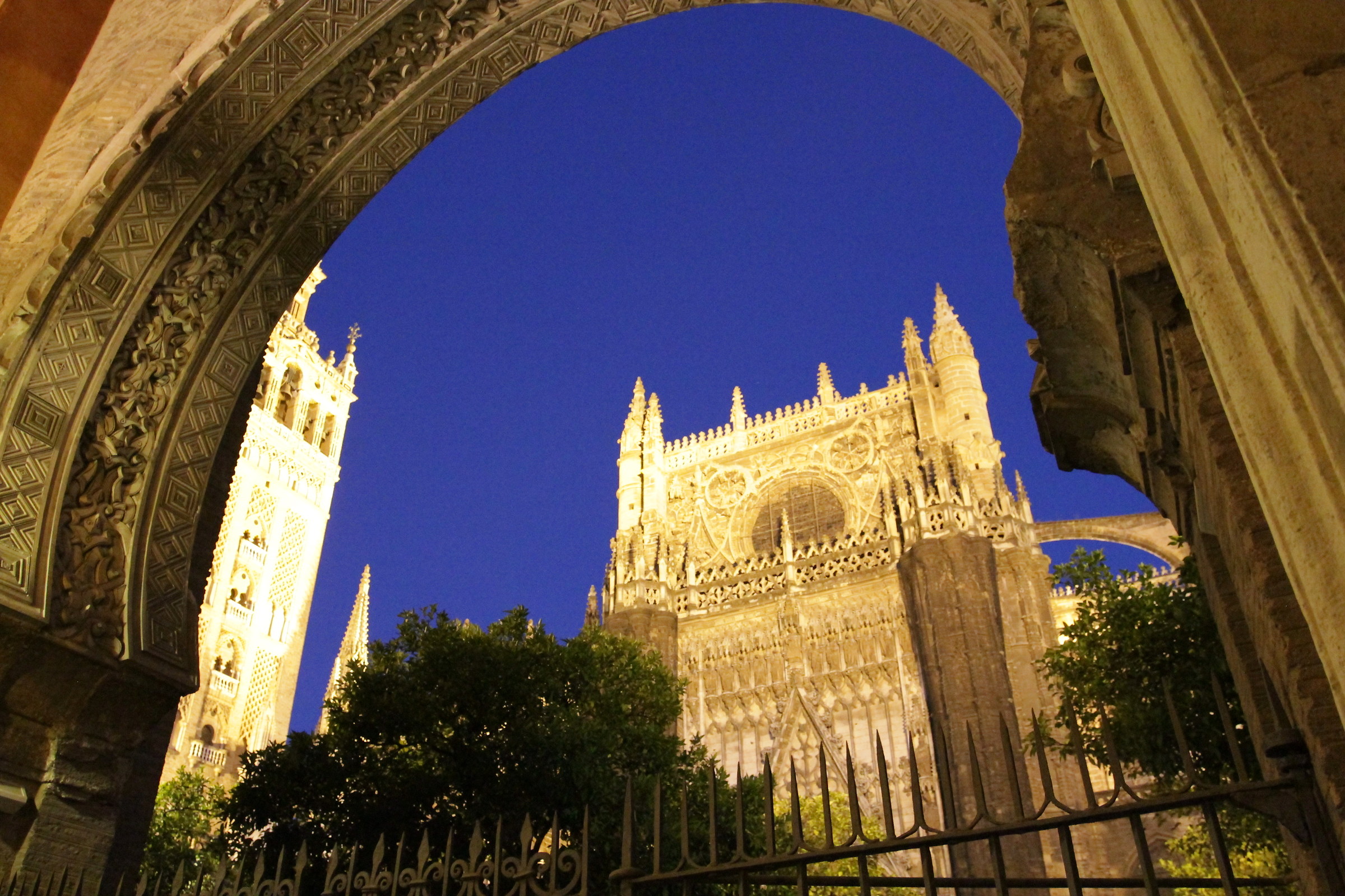 La cattedrale nell'ora blu