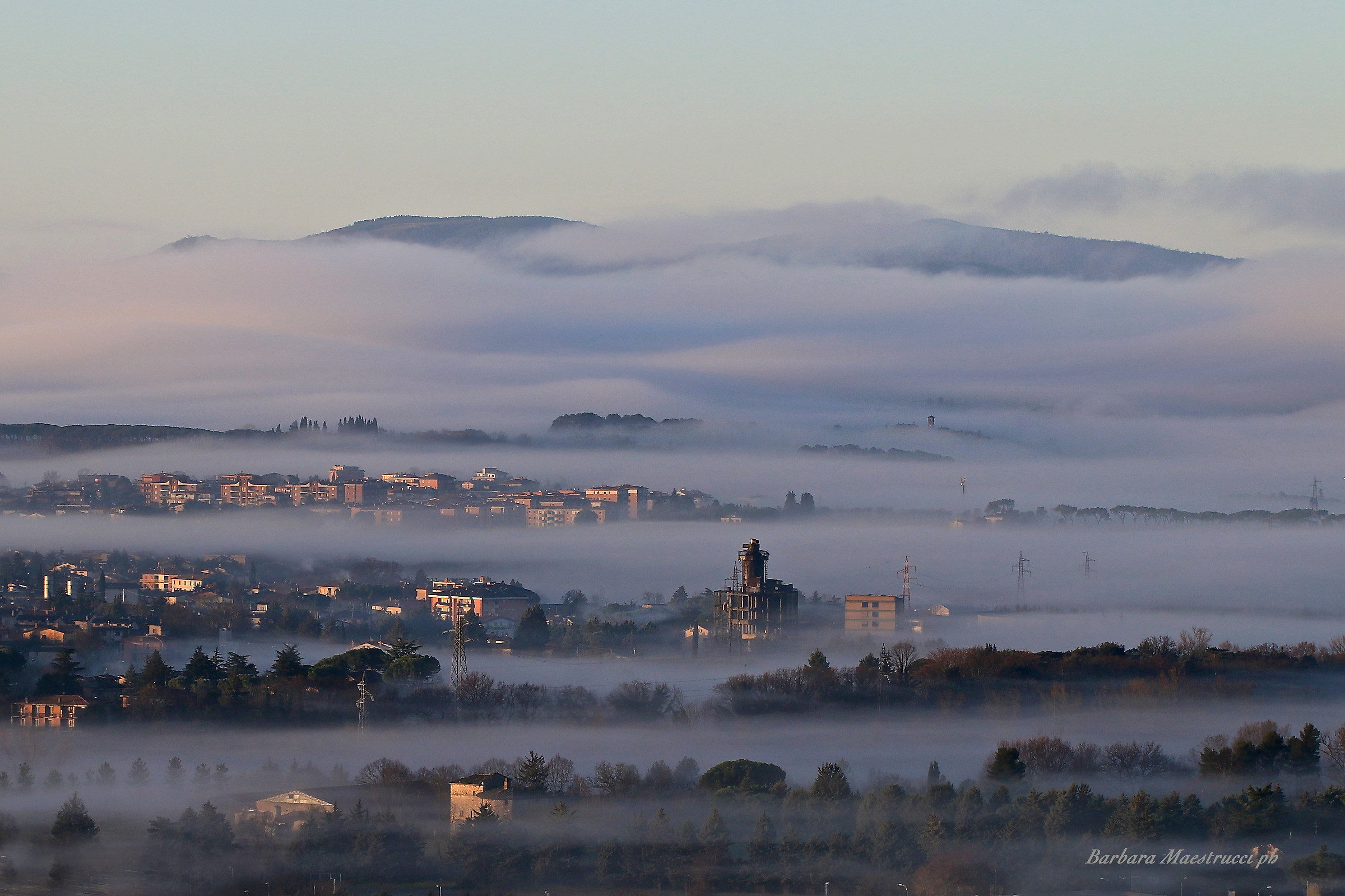 One morning my window ...