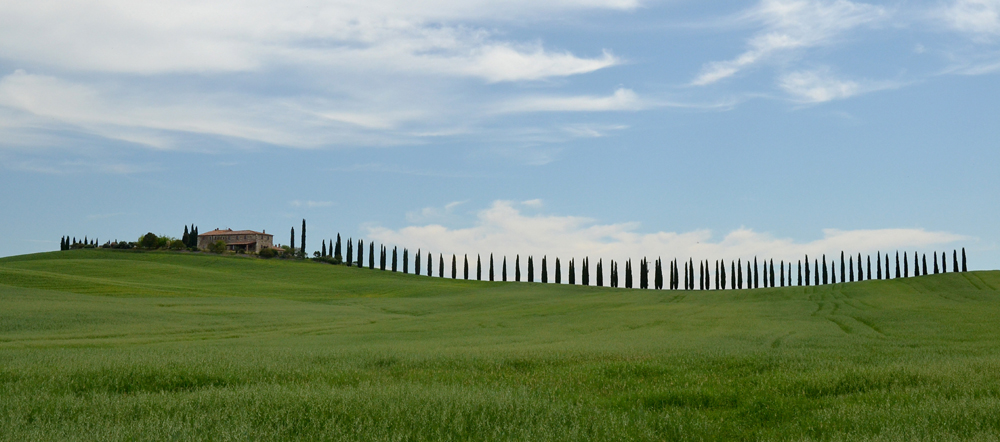 paesaggio della val d'orcia