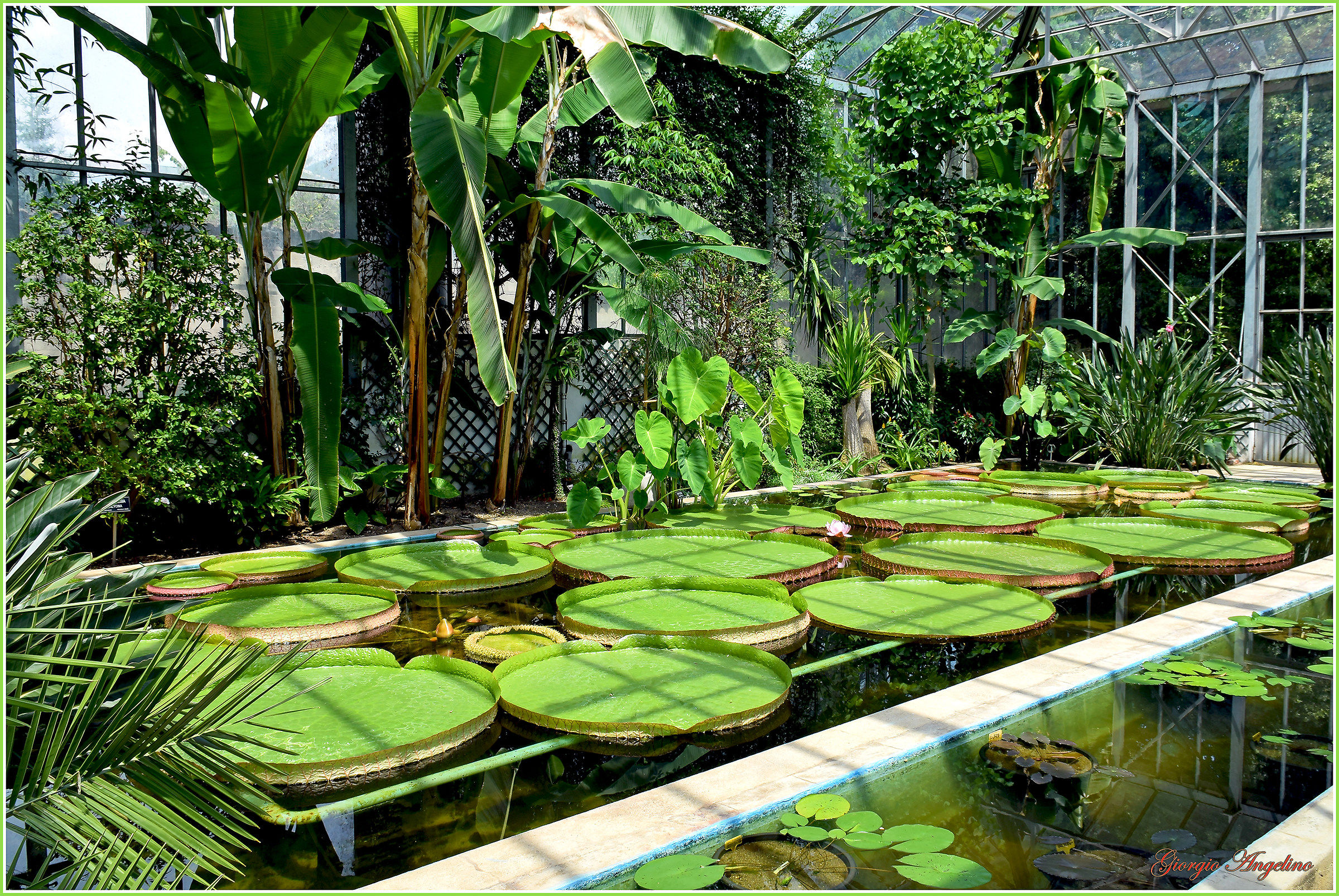 I colori di Villa Taranto