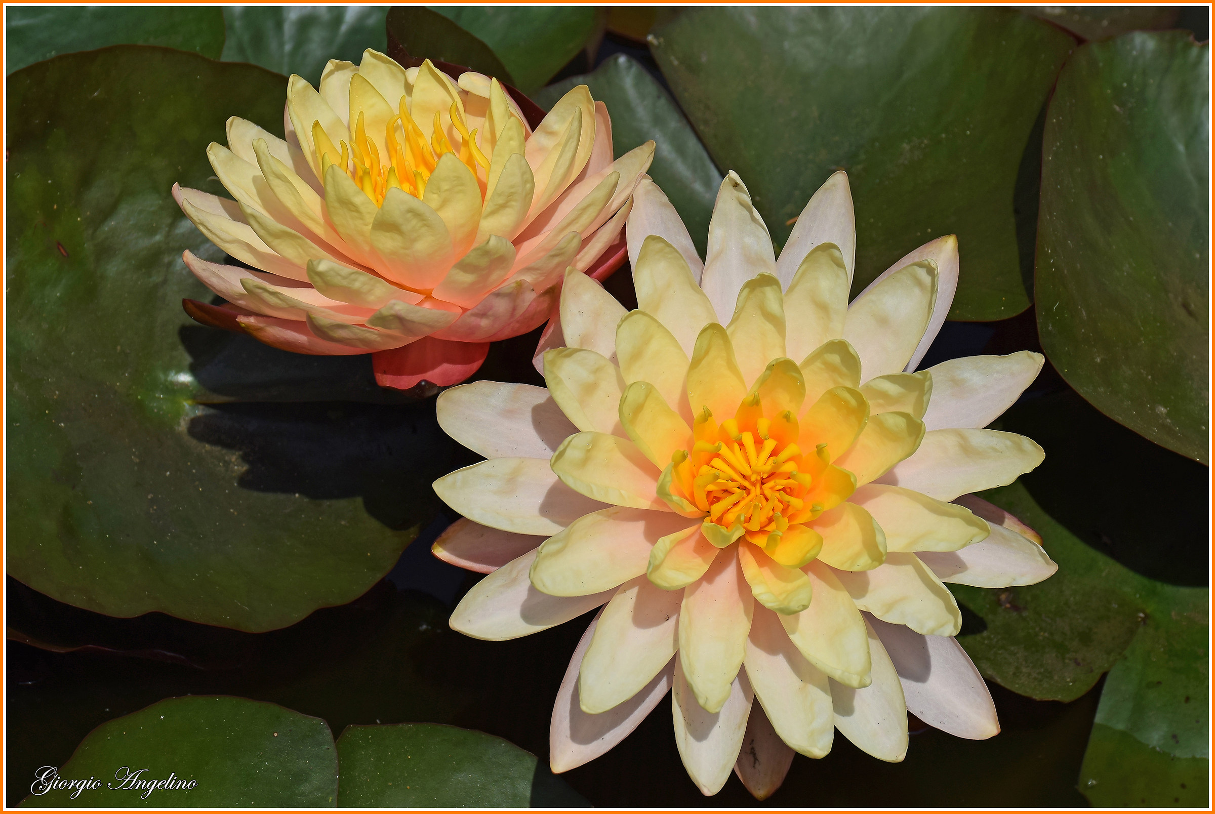 I colori di Villa Taranto