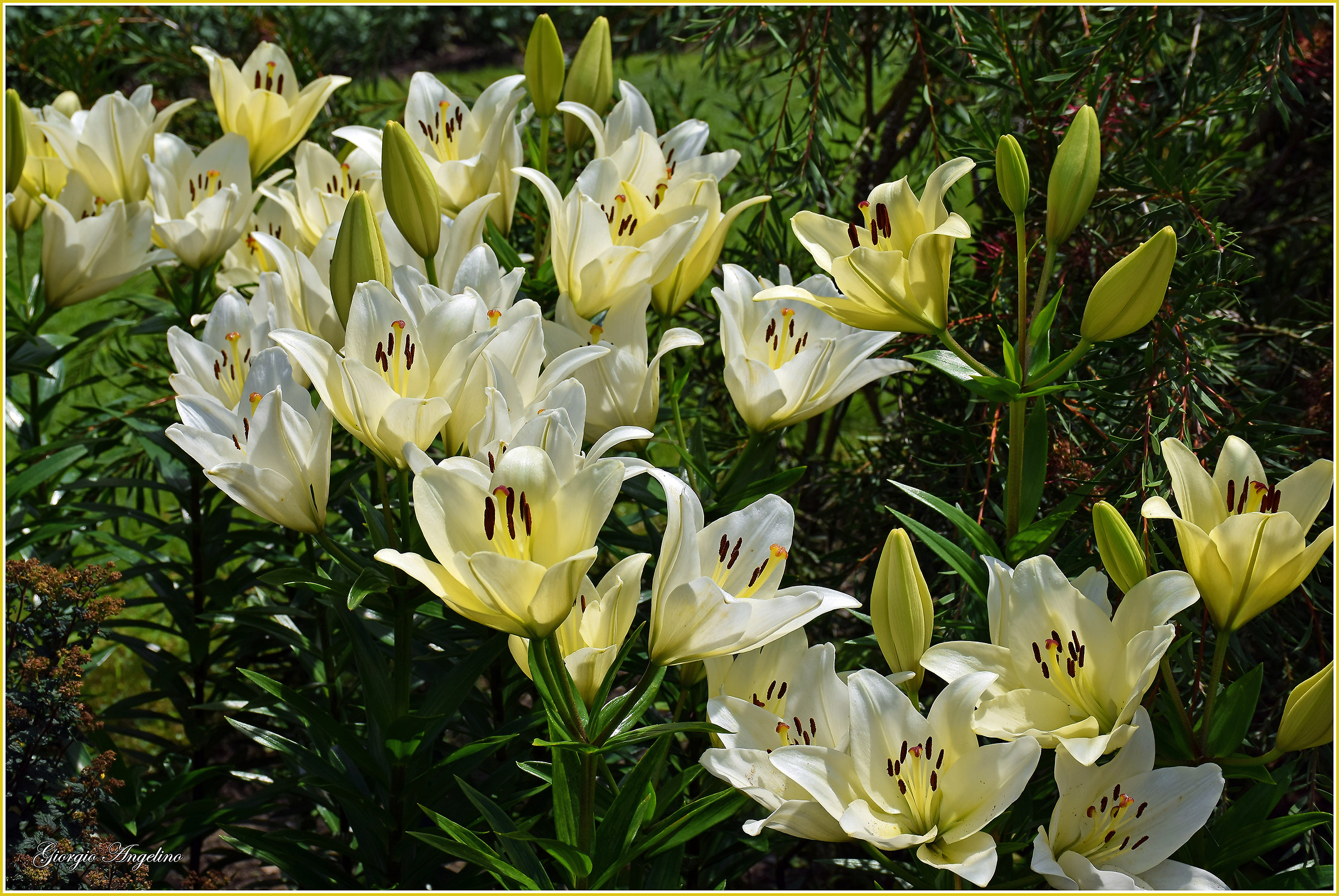 I colori di Villa Taranto