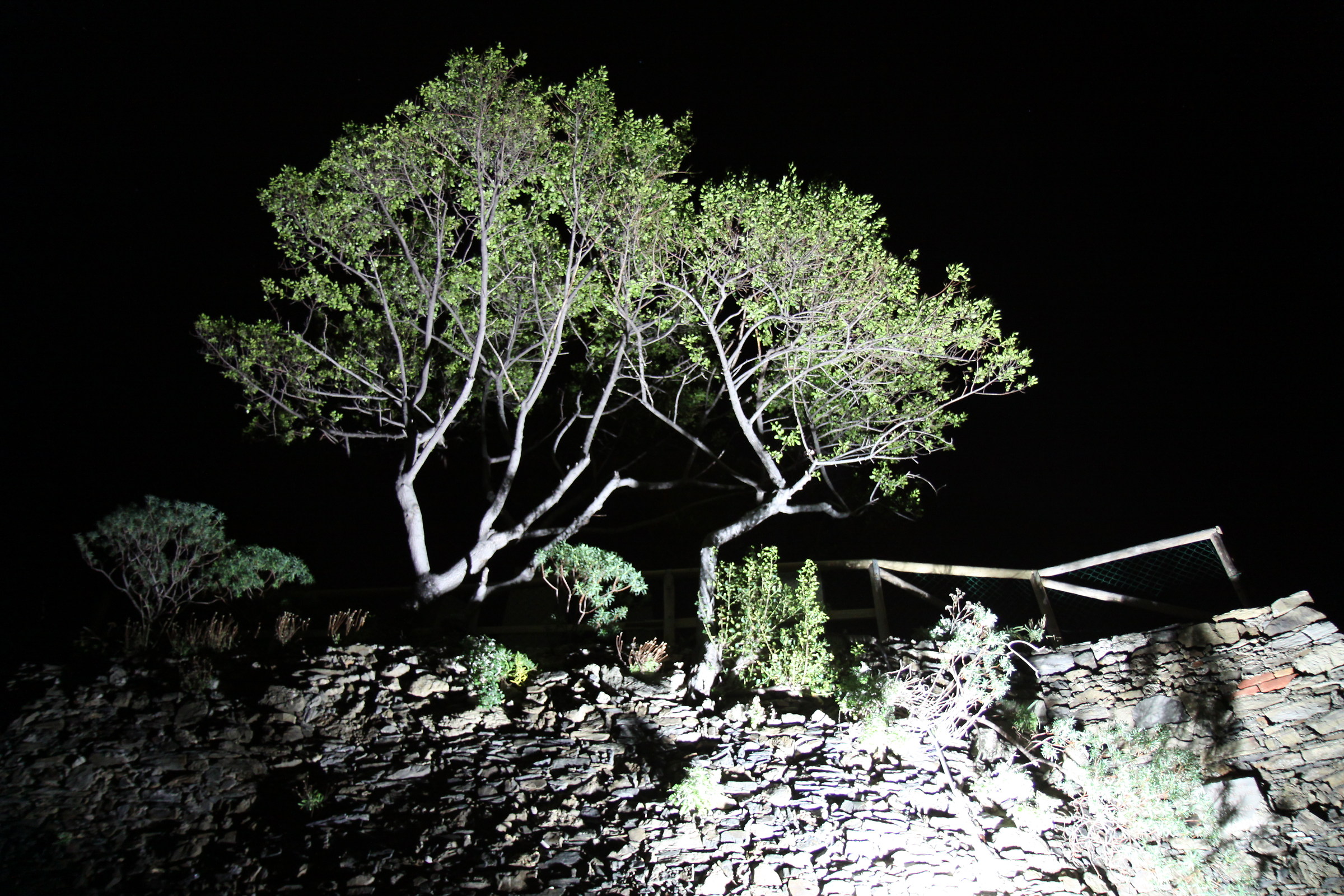 Luce bianca dal basso