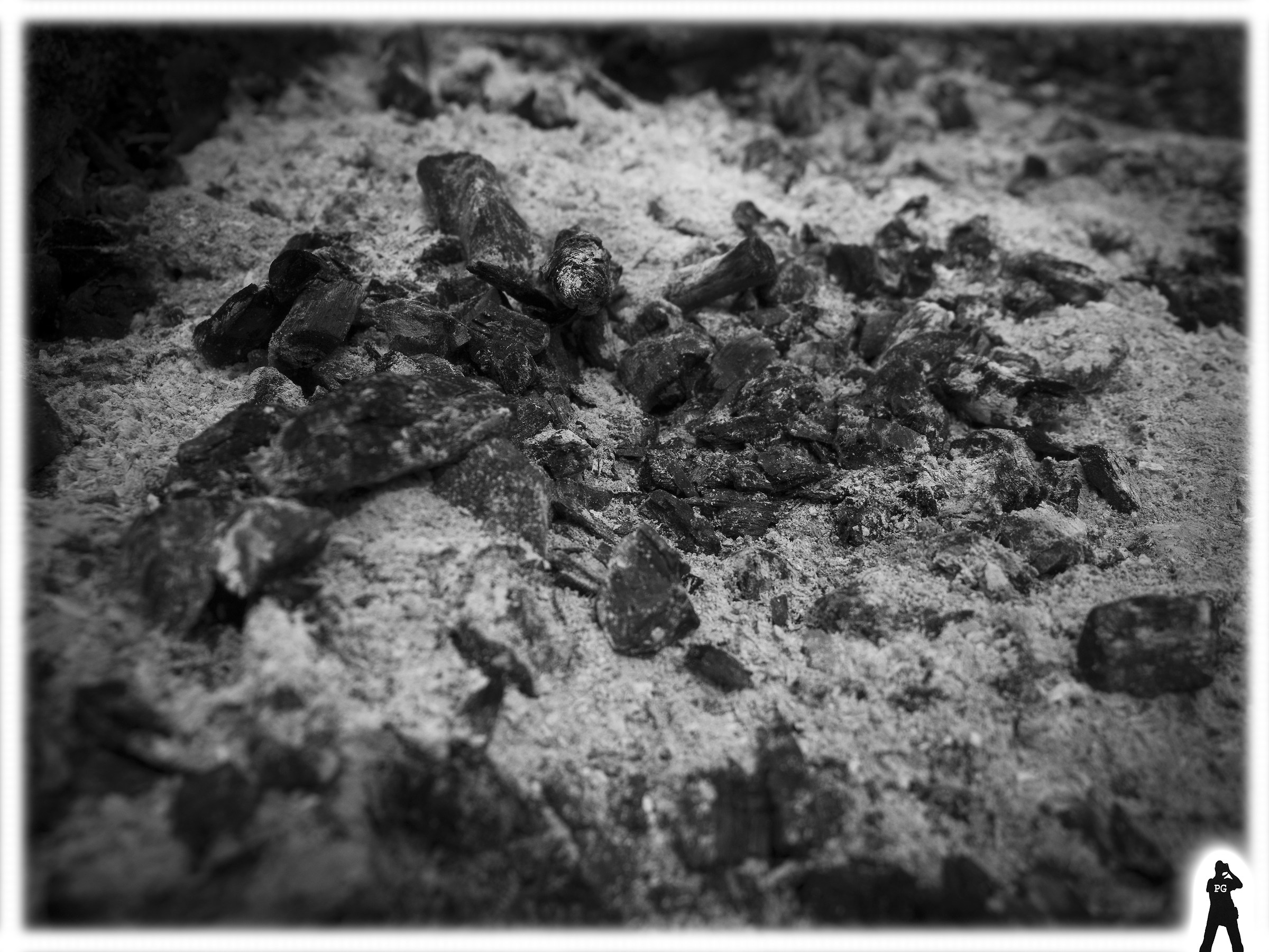 ... In the end, Ash!