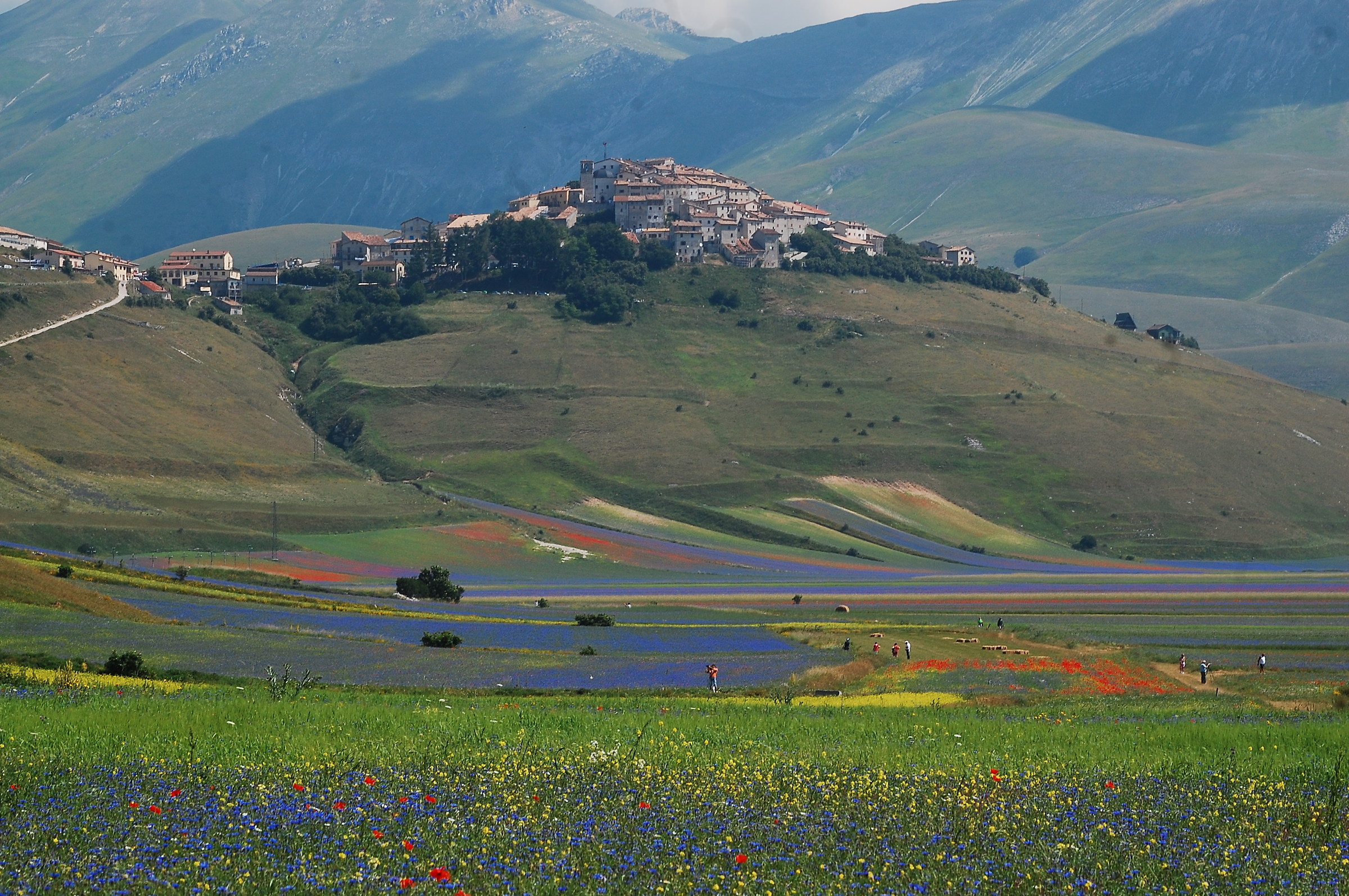The garden of Castelluccio