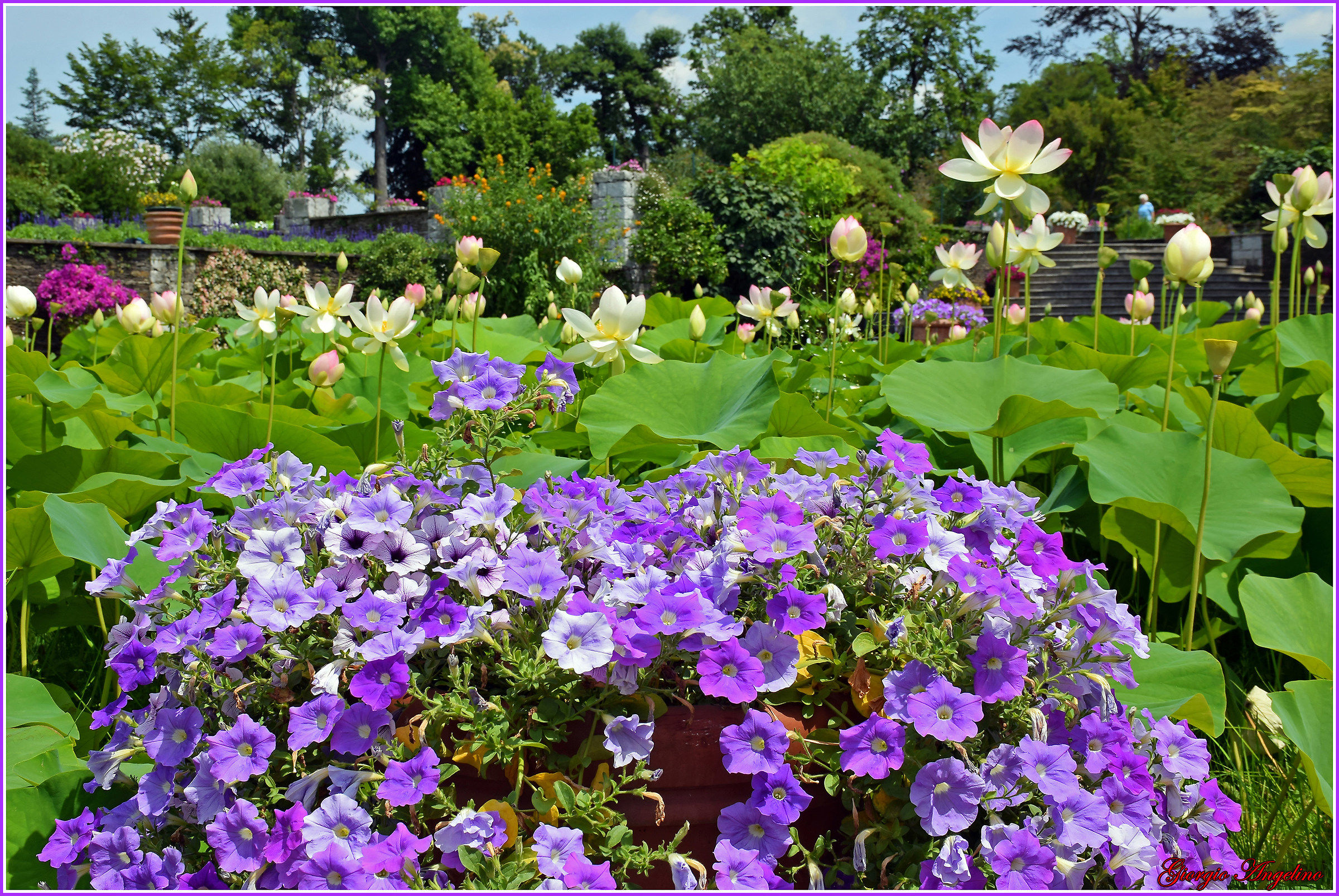 I colori di Villa Taranto