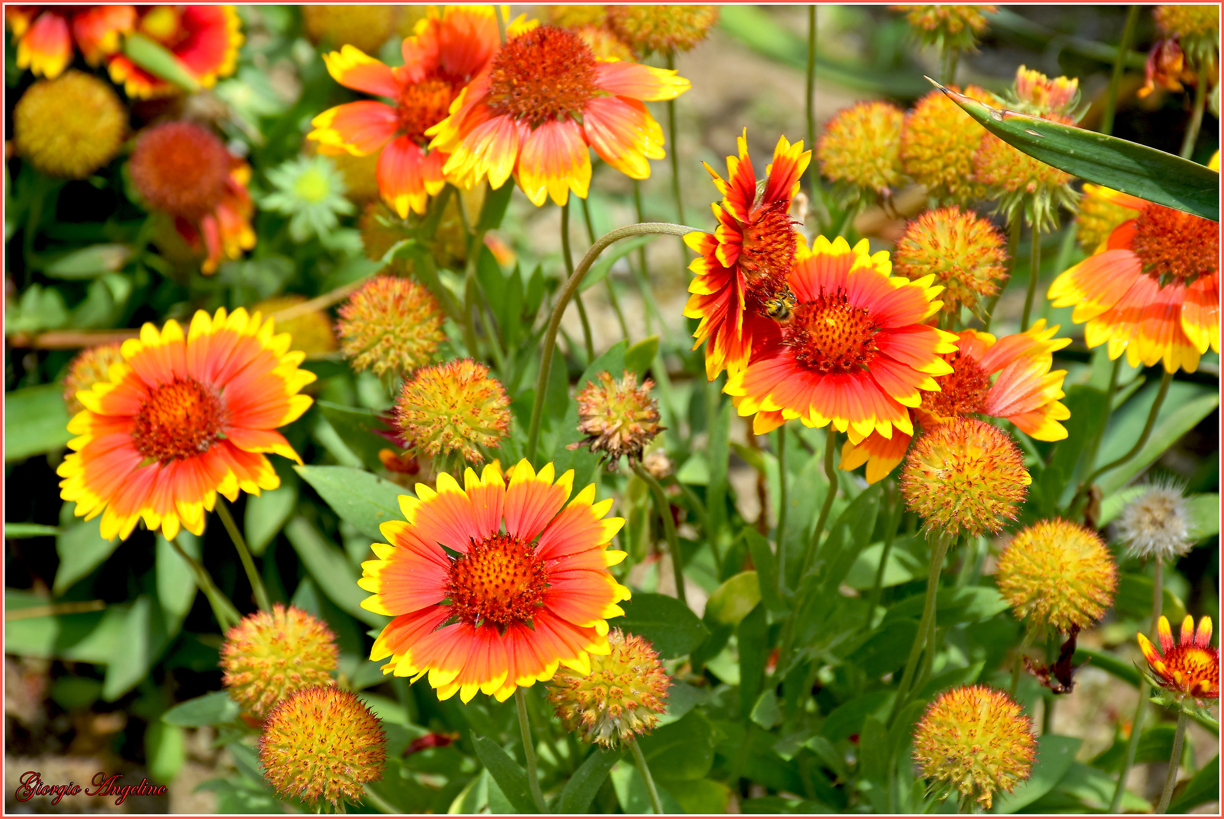 I colori di Villa Taranto