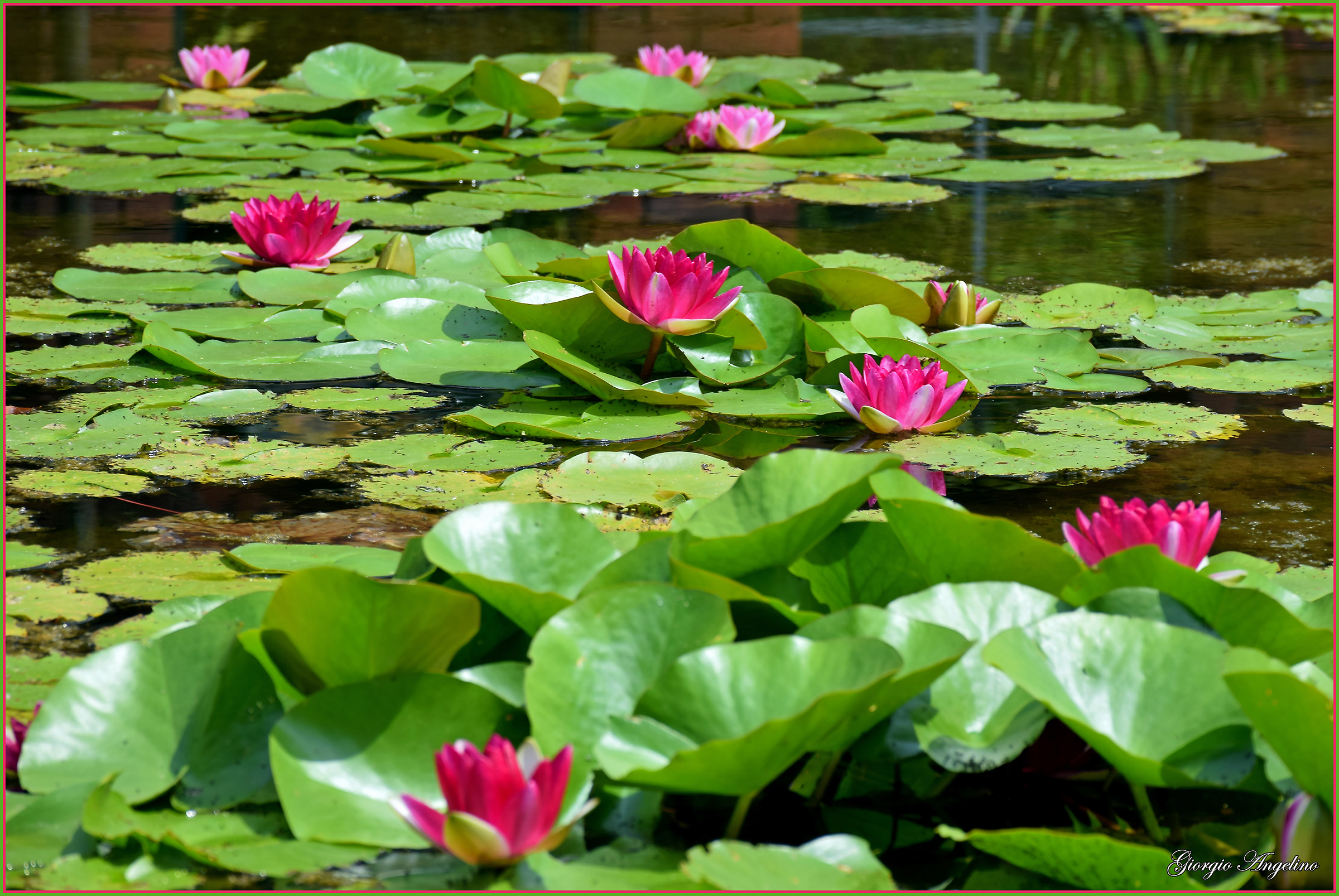 I colori di Villa Taranto