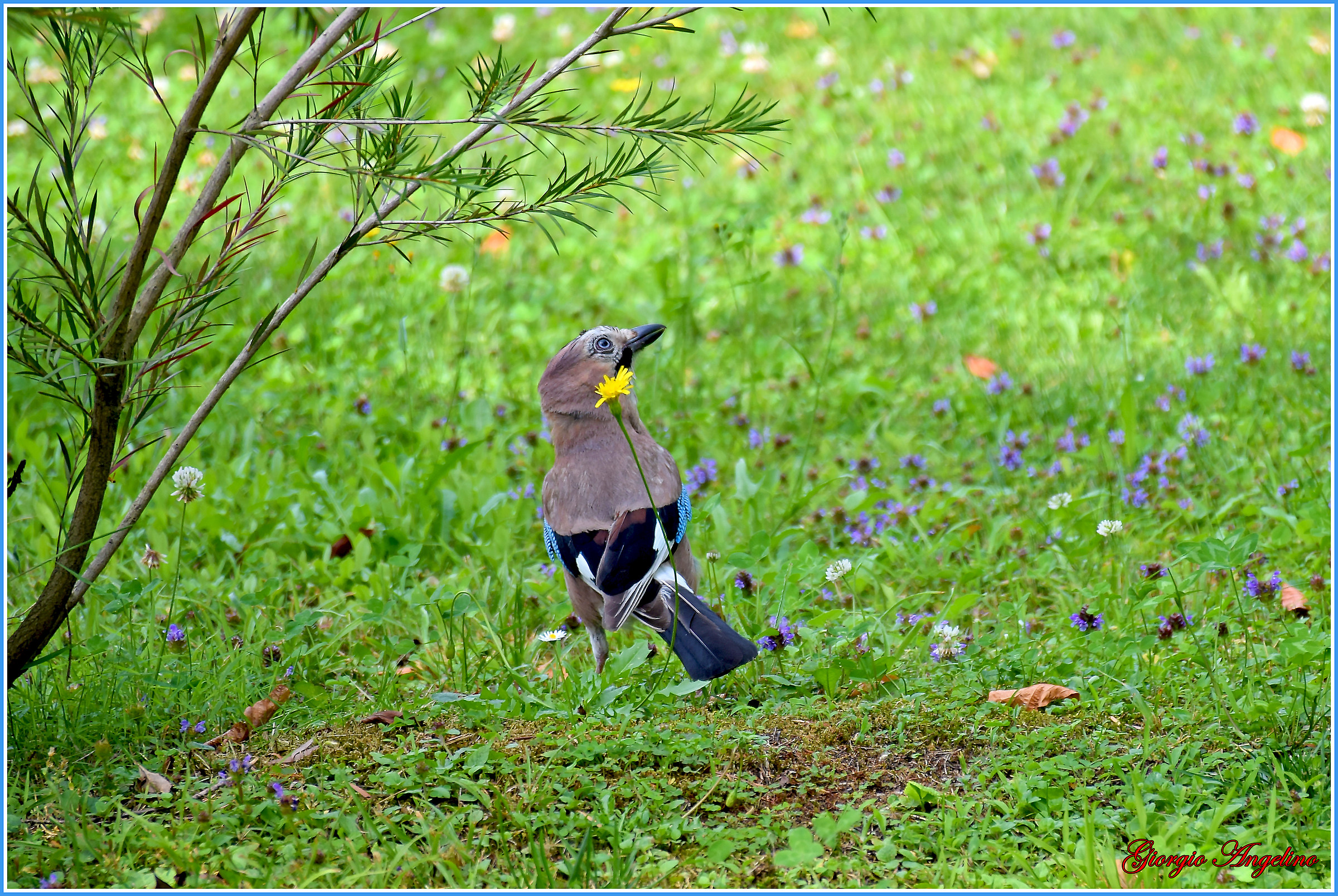 I colori di Villa Taranto