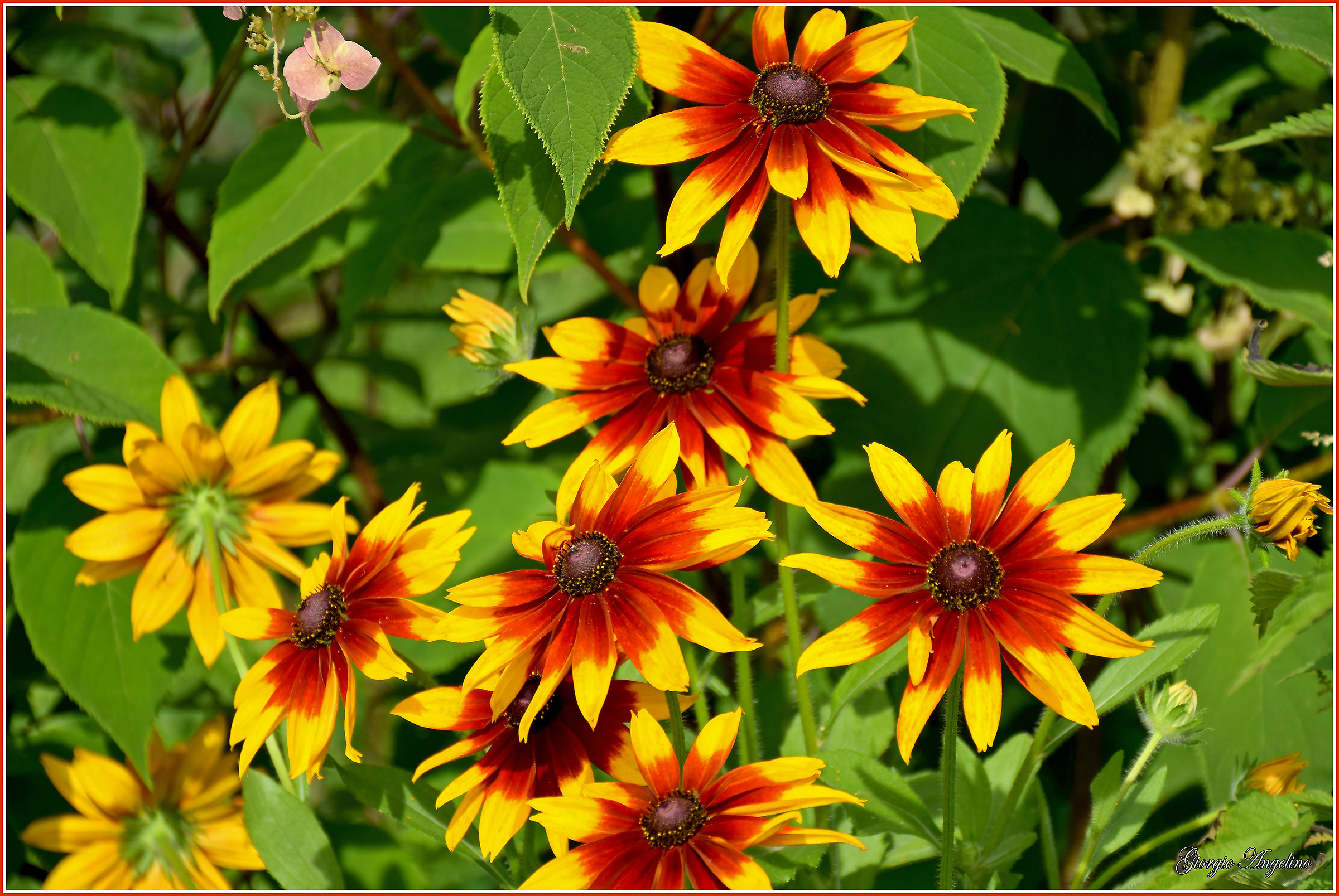 I colori di Villa Taranto