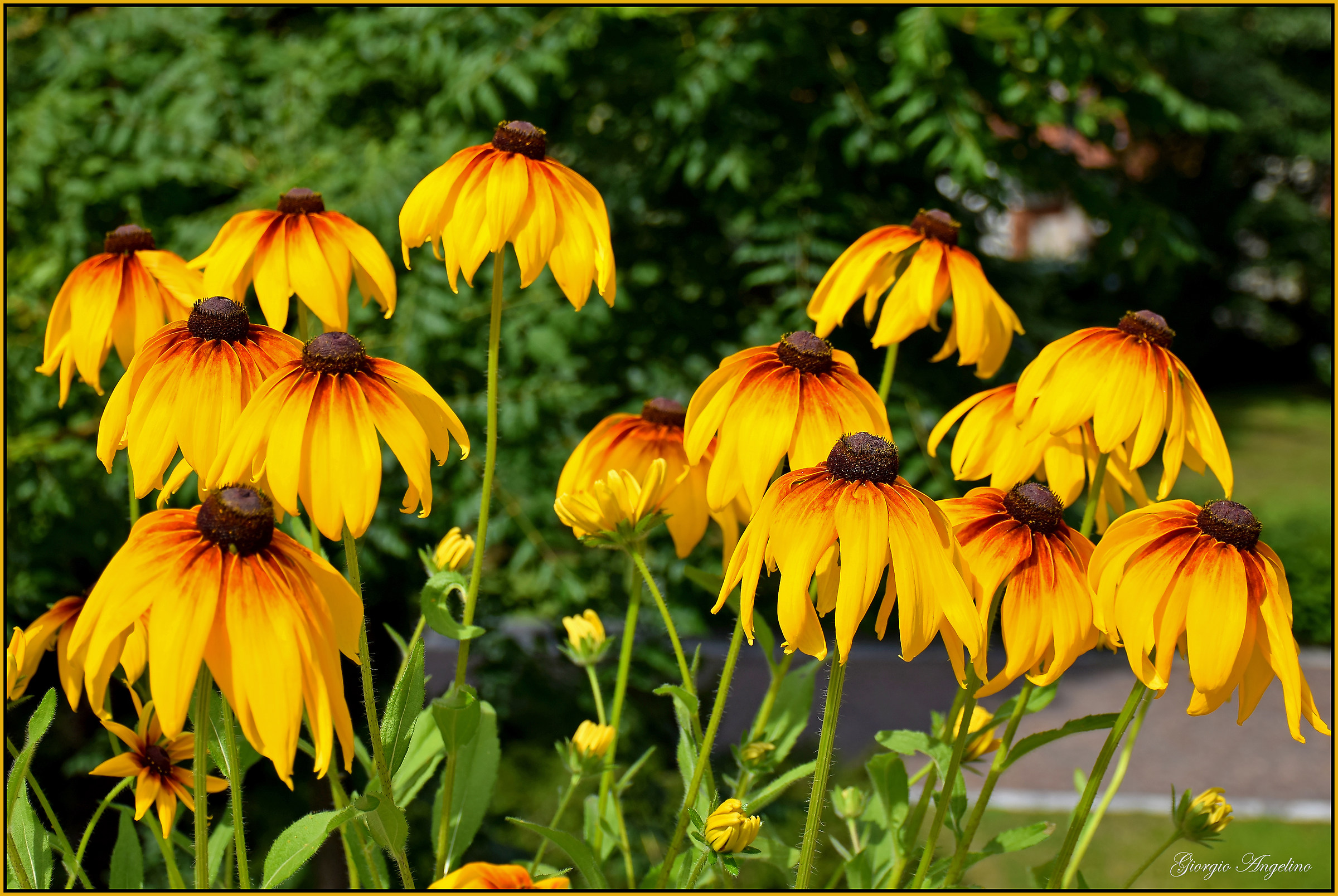 I colori di Villa Taranto