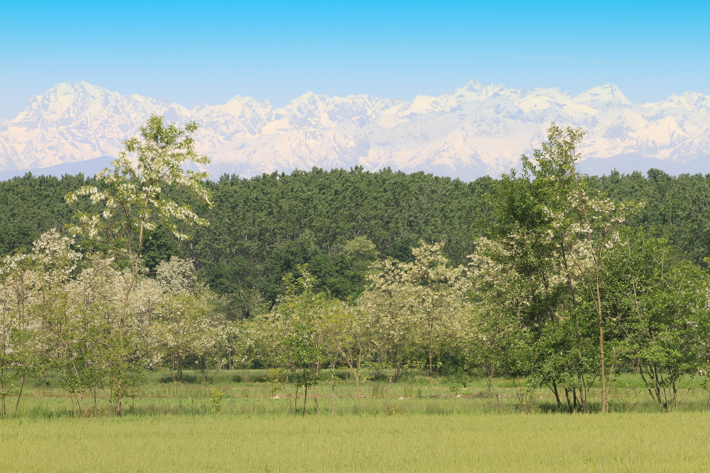 Uno sguardo ravvicinato