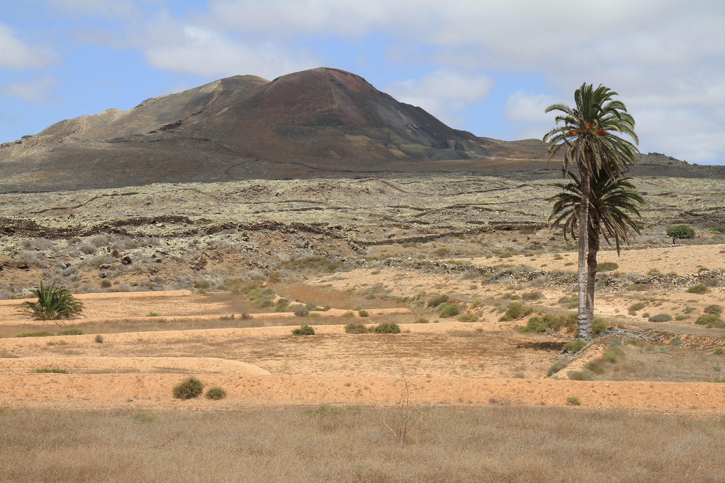 Fuerteventura