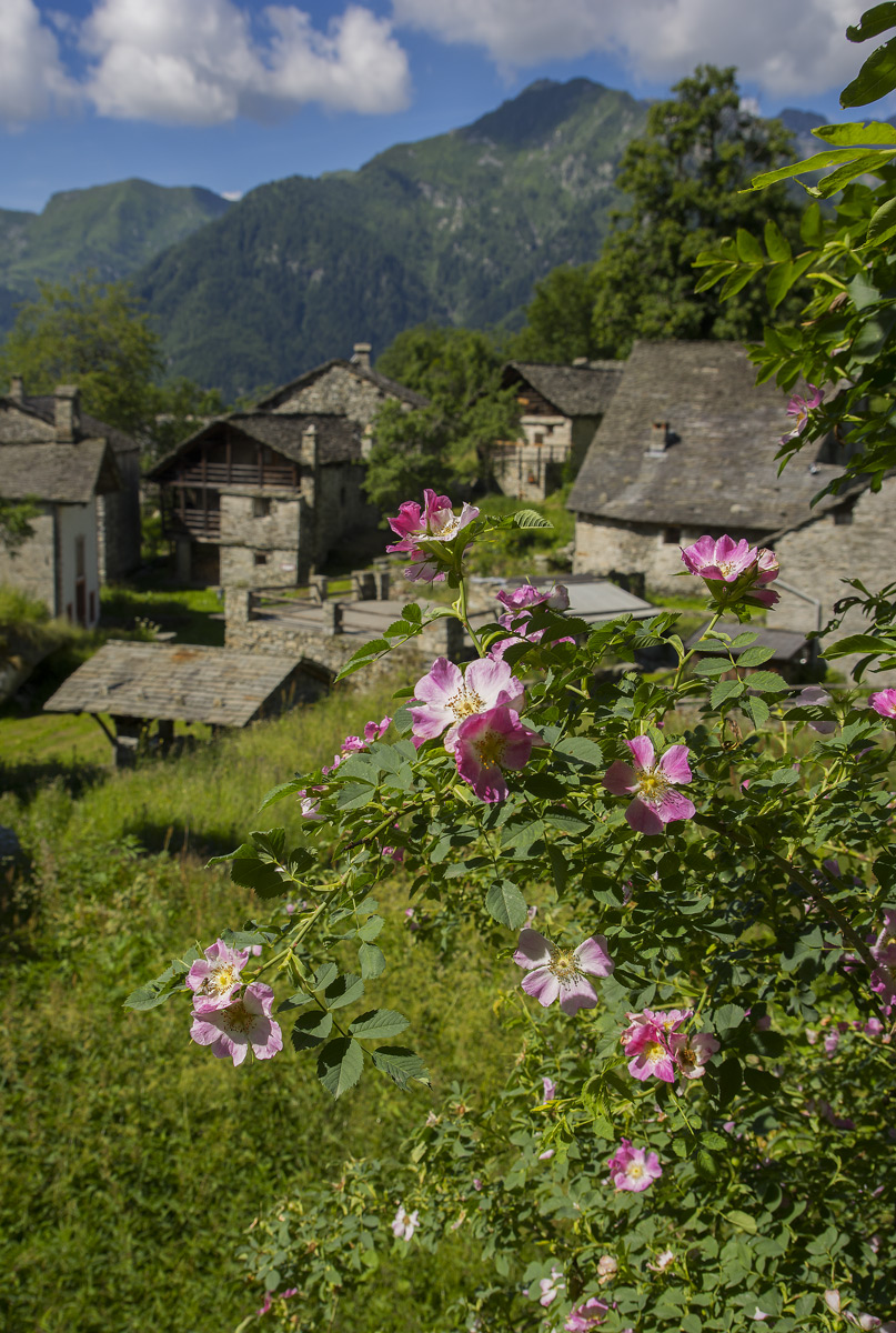 Rimasco- Fraz. Dorca