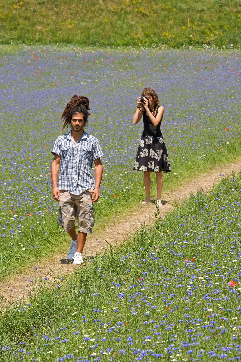 The I've Seen Before