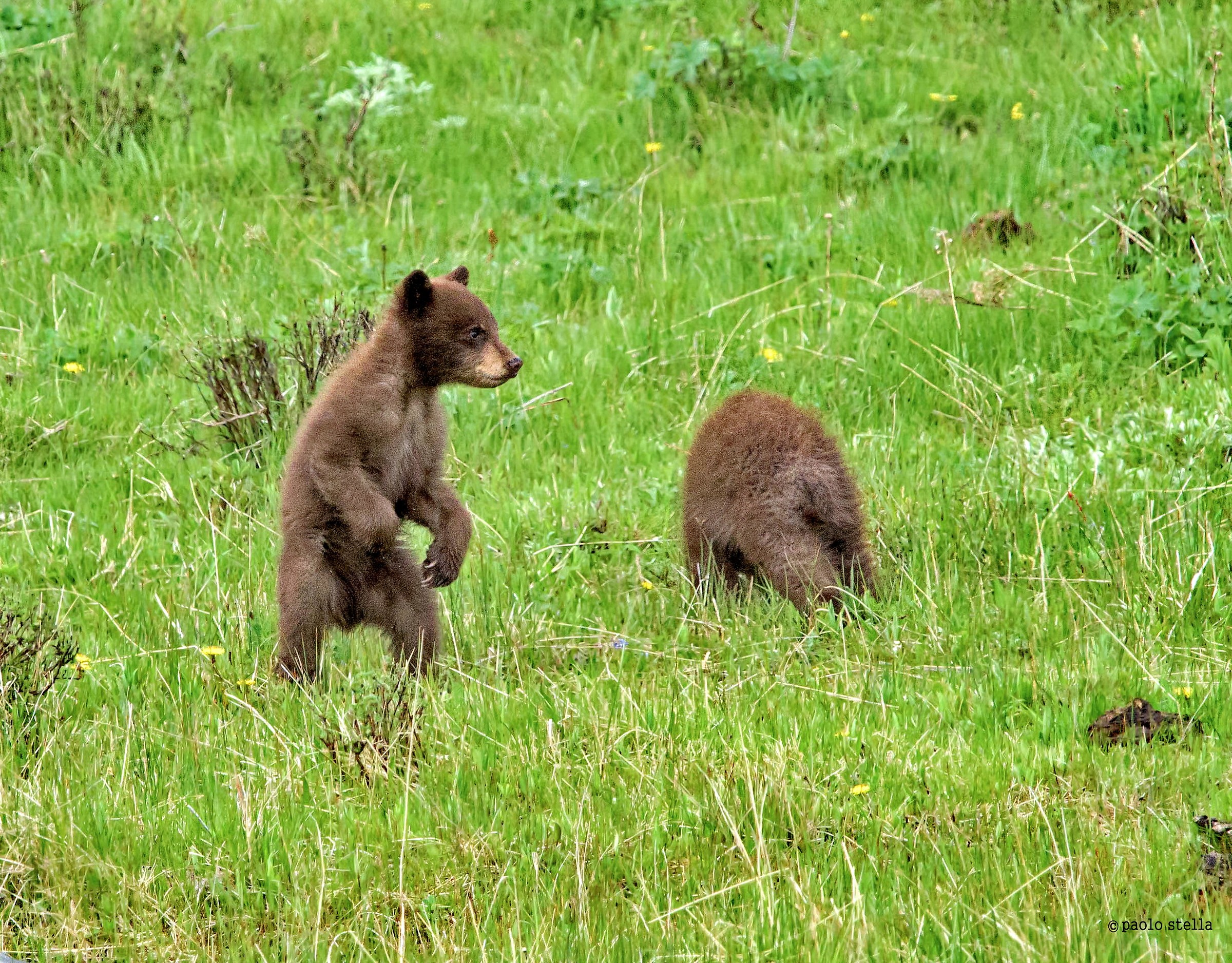 2 boys - what a fright!