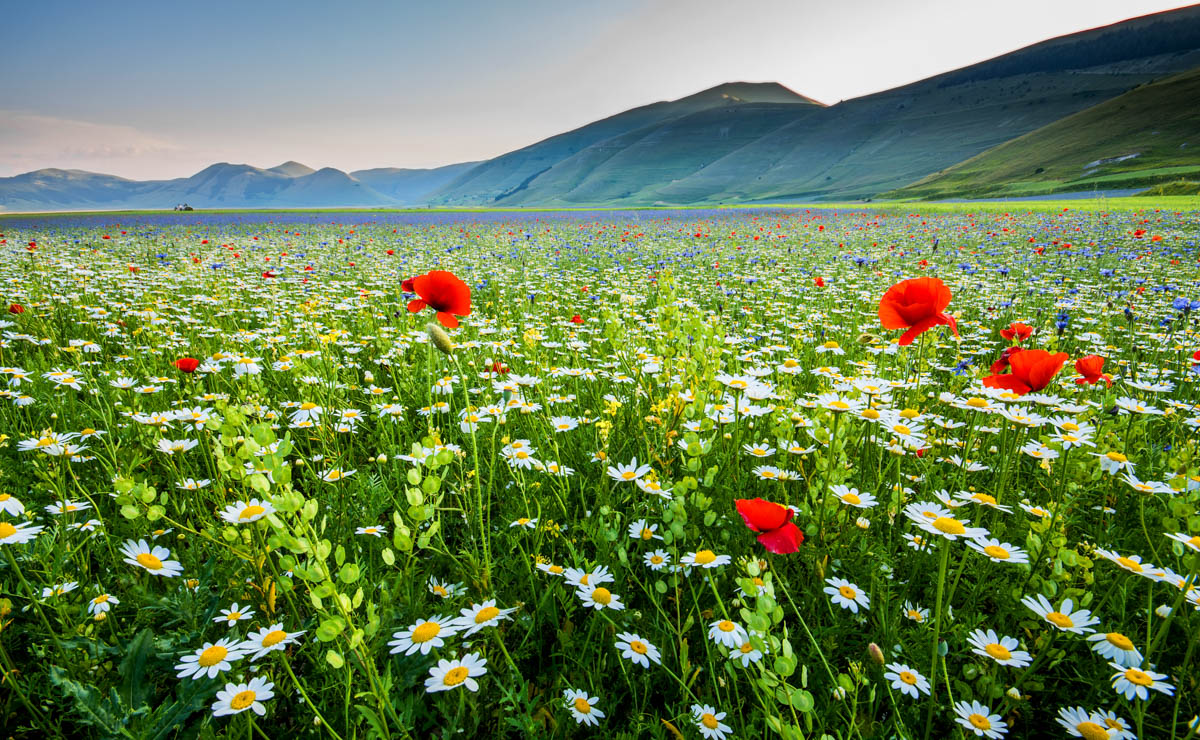 castelluccio at sunset