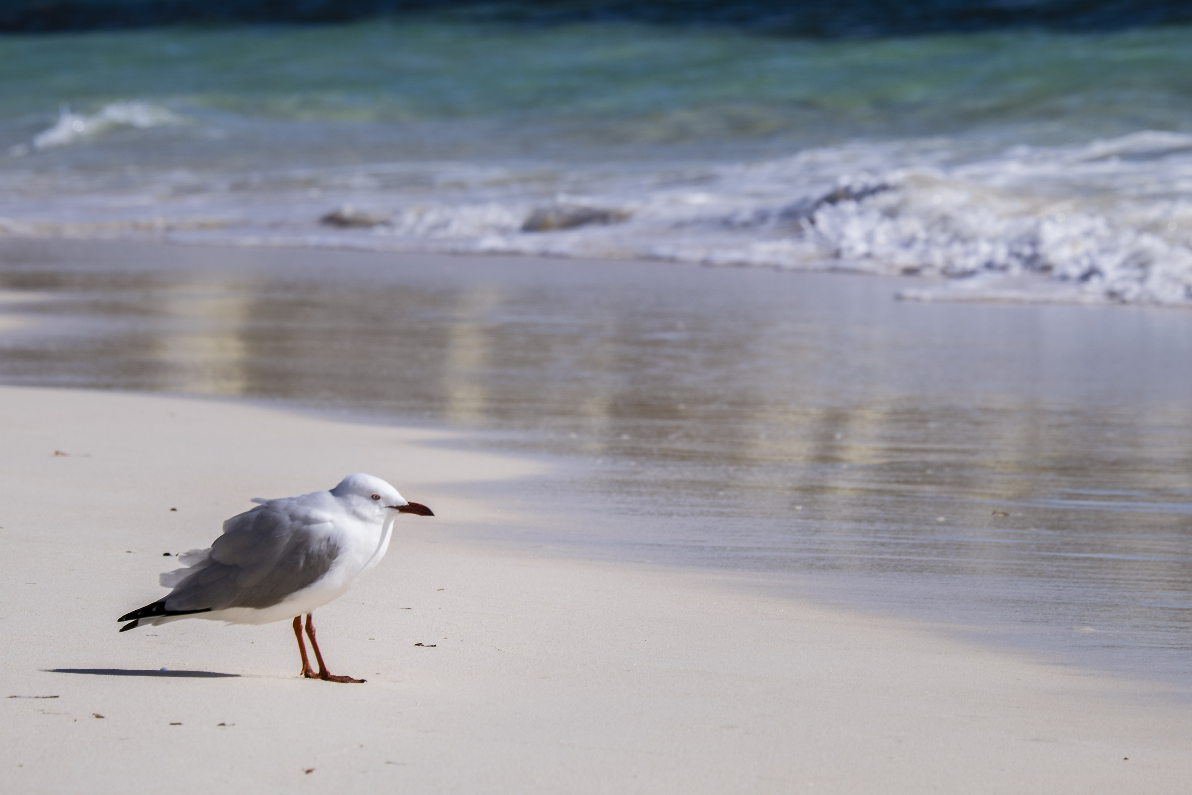 in contemplazione...