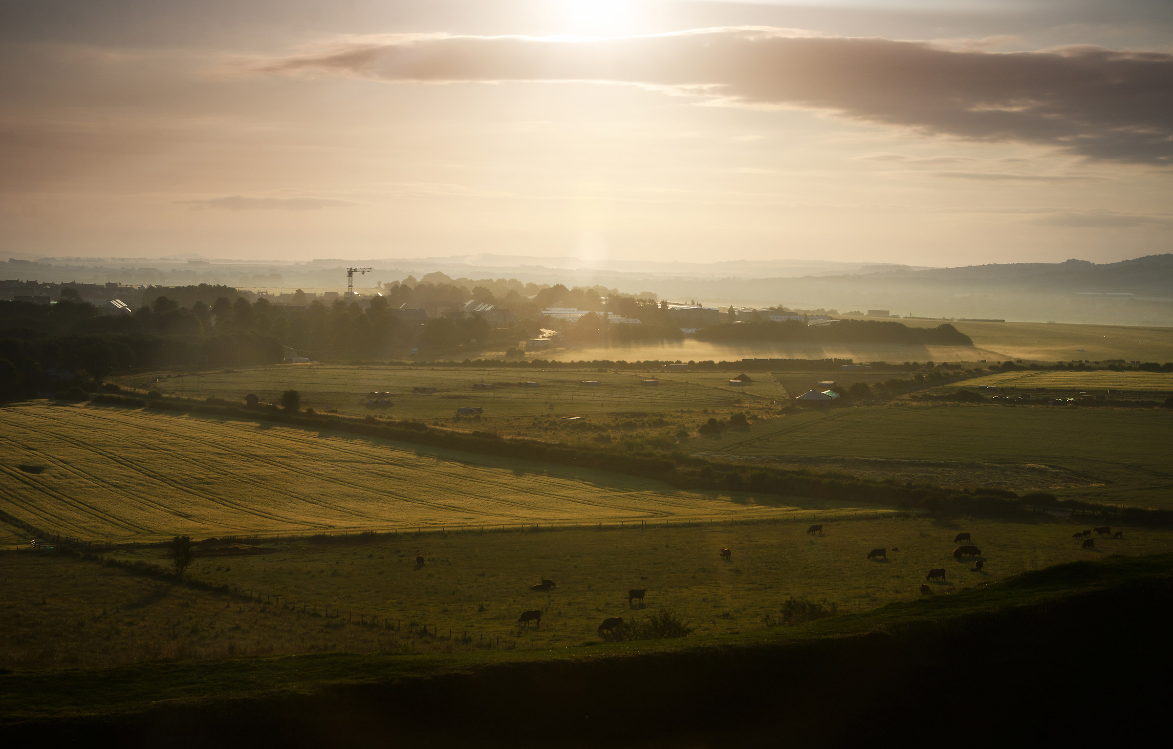 View from Old Sarum Hillfort